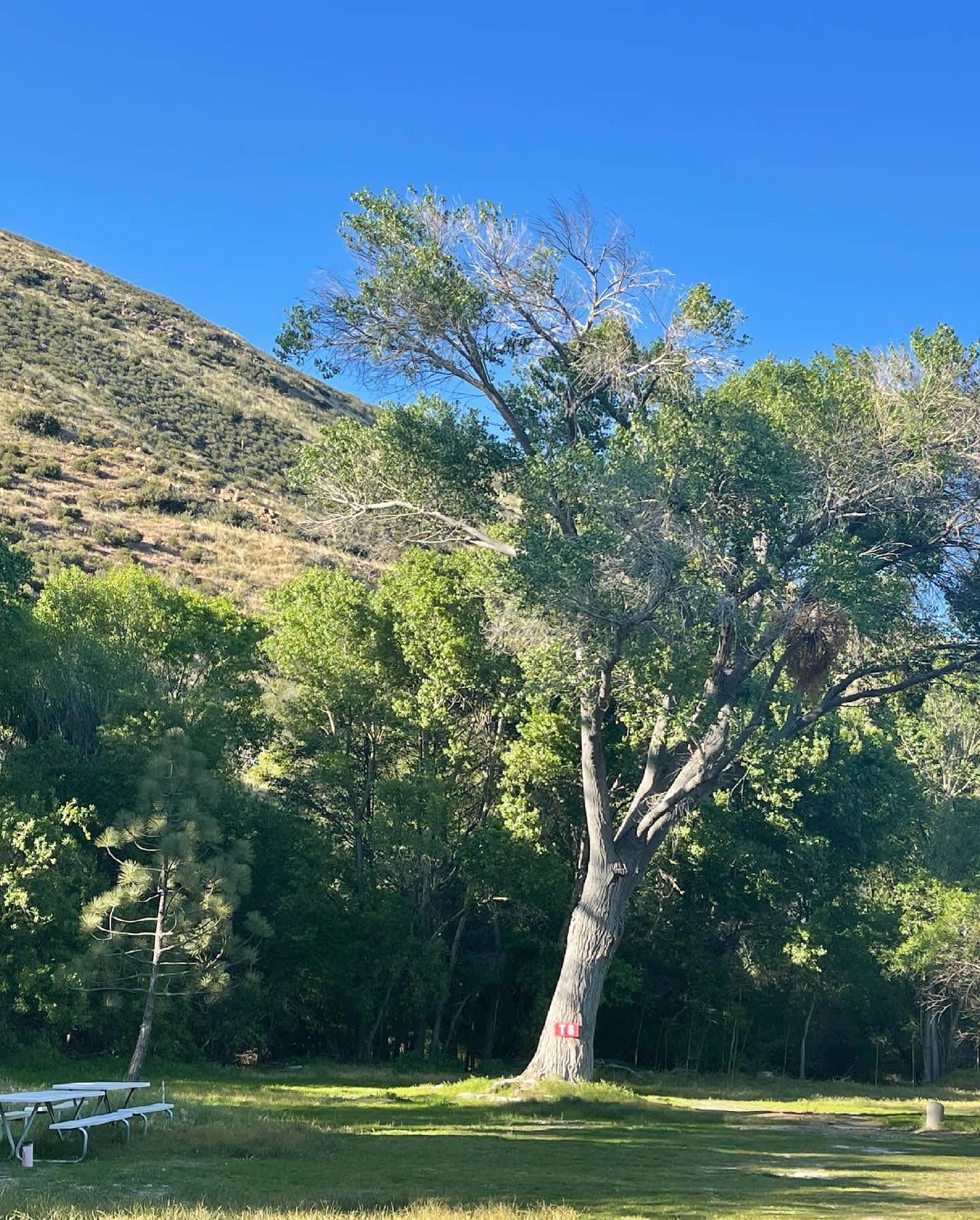 Banner Ranch Julian