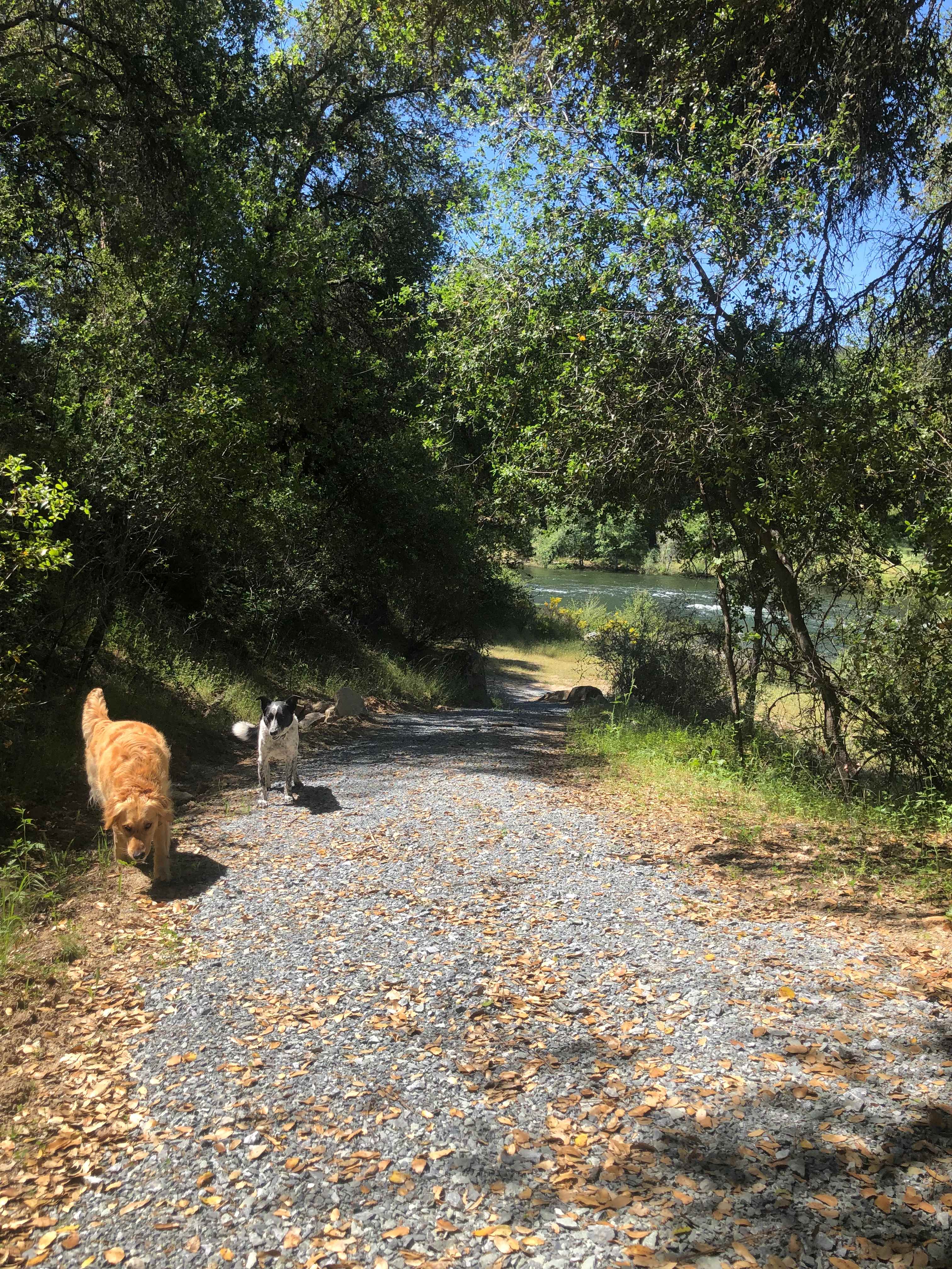 Manzanita Camping & Co