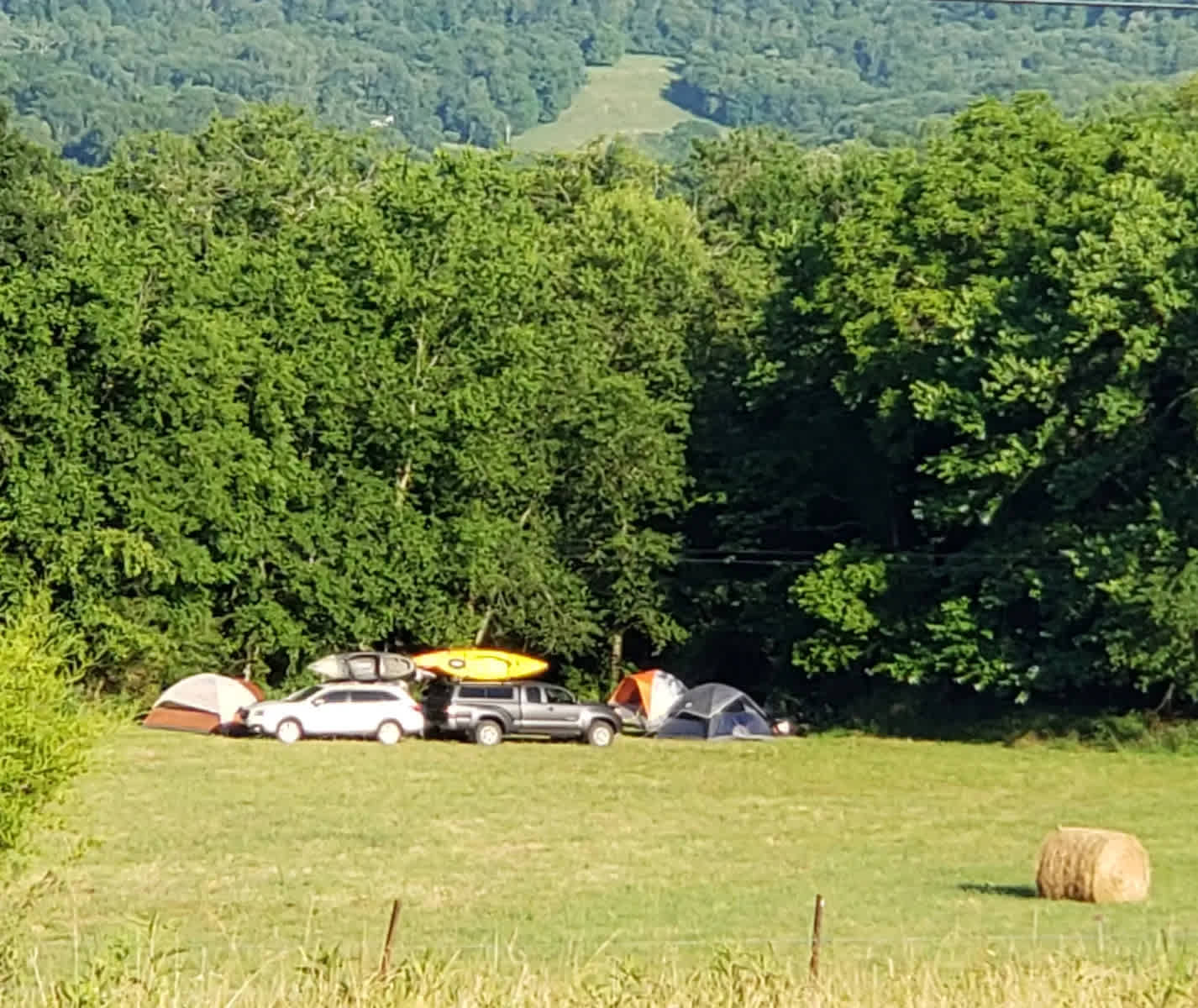 Picture of the site