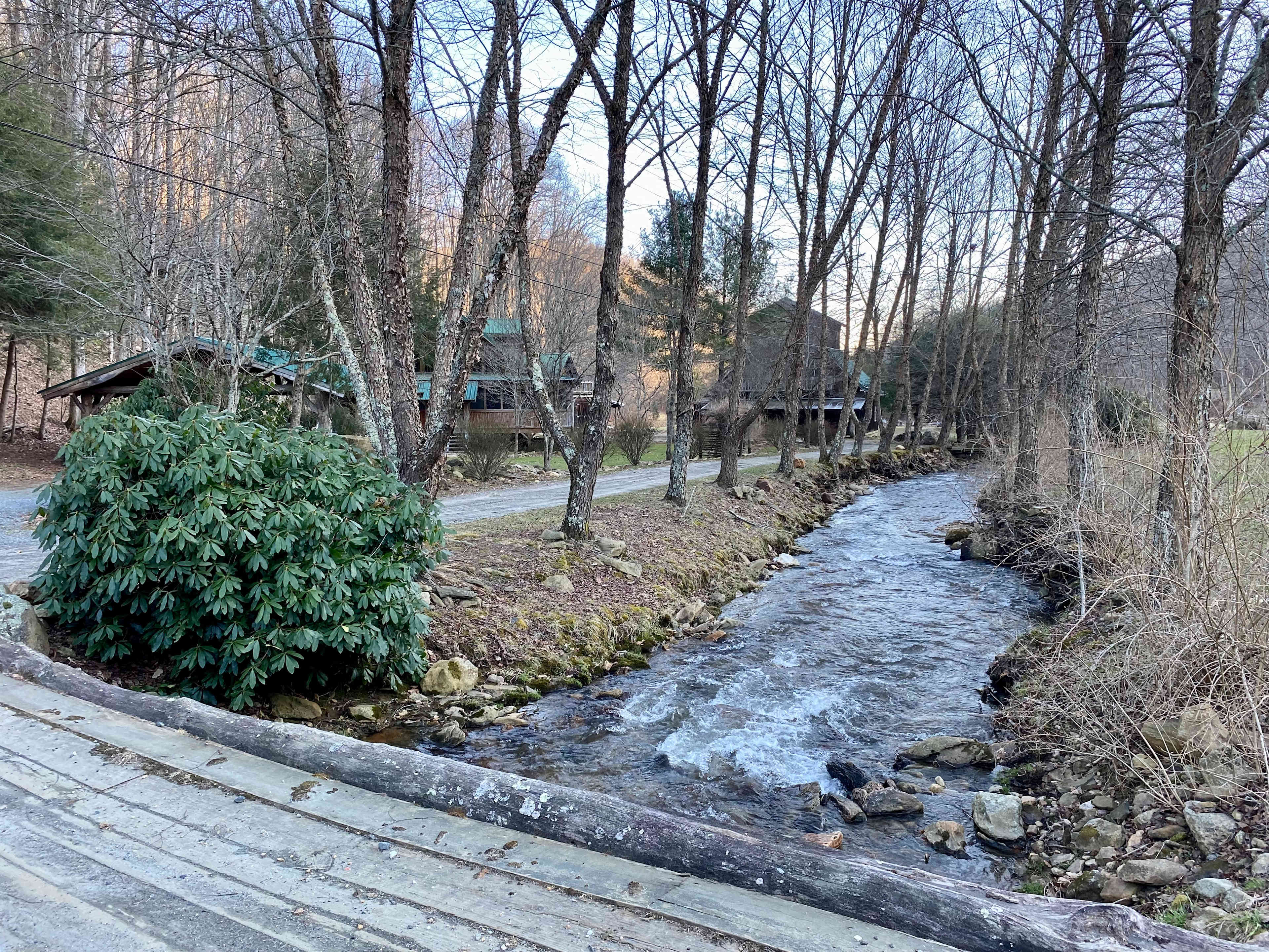 Inner Wolf Retreat Space