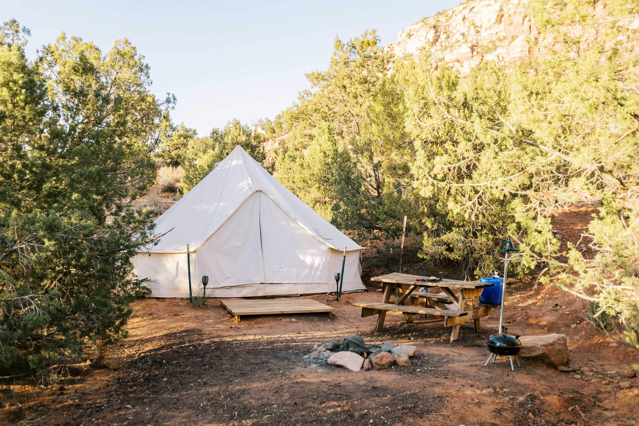 The tent is nestled amongst juniper trees.