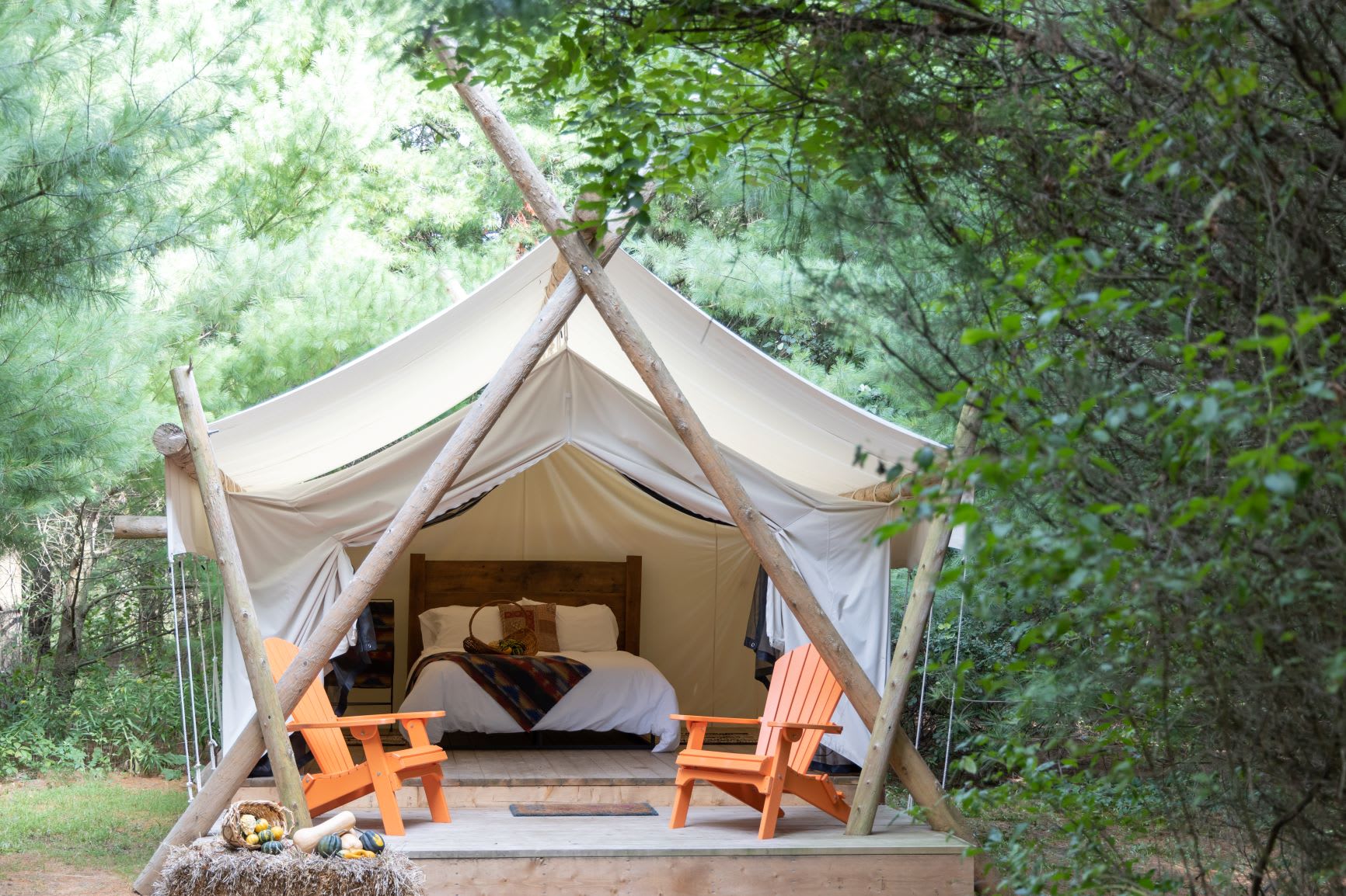 Wooded Oasis 1