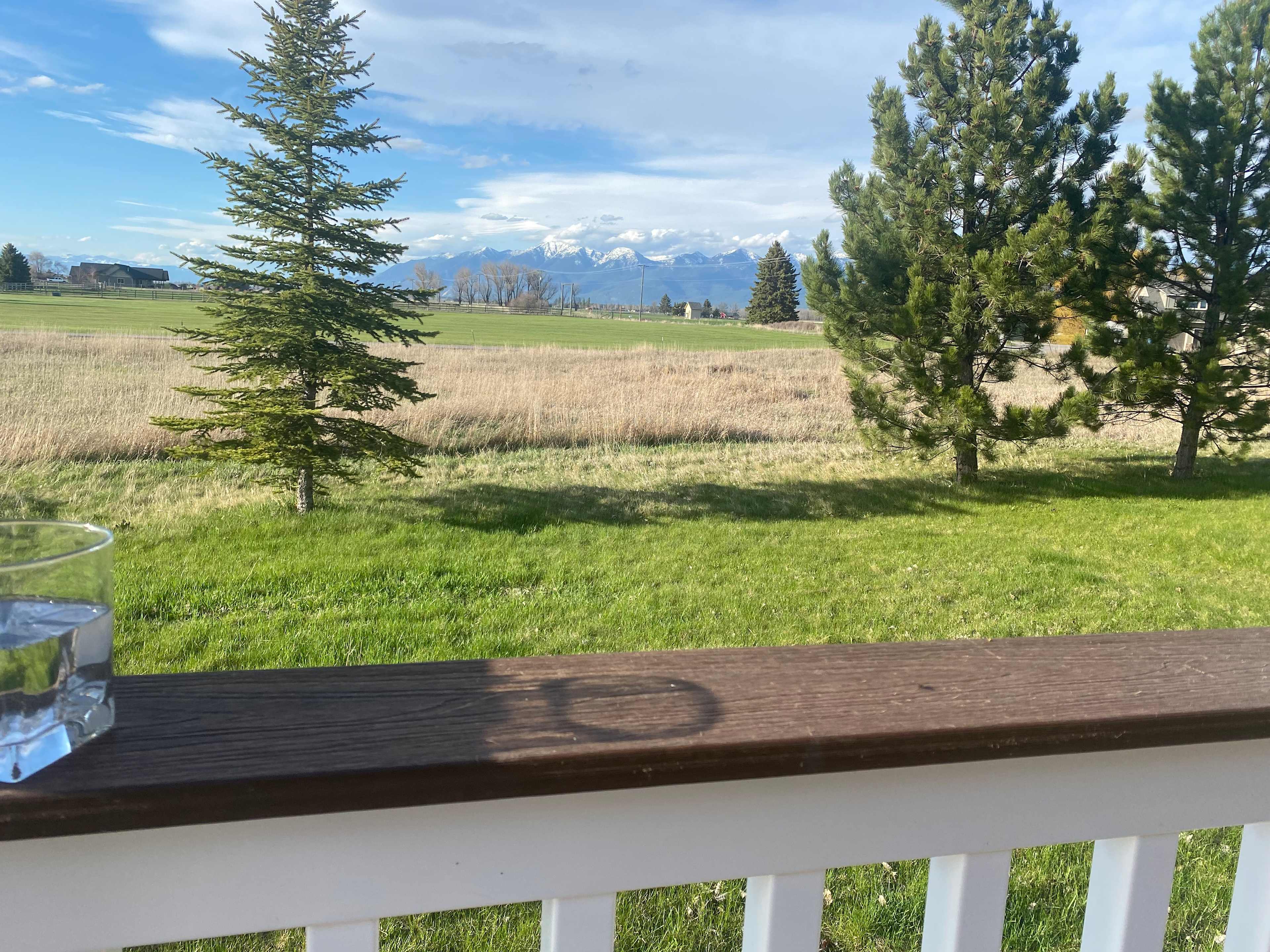 Pasture with views!