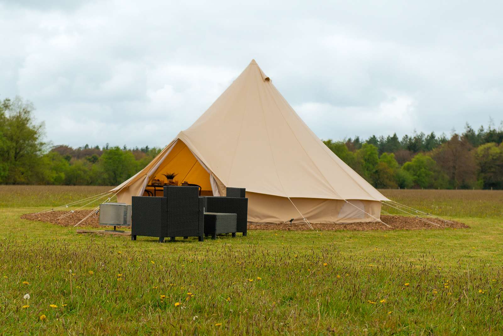 Dog Friendly Bell Tent in field