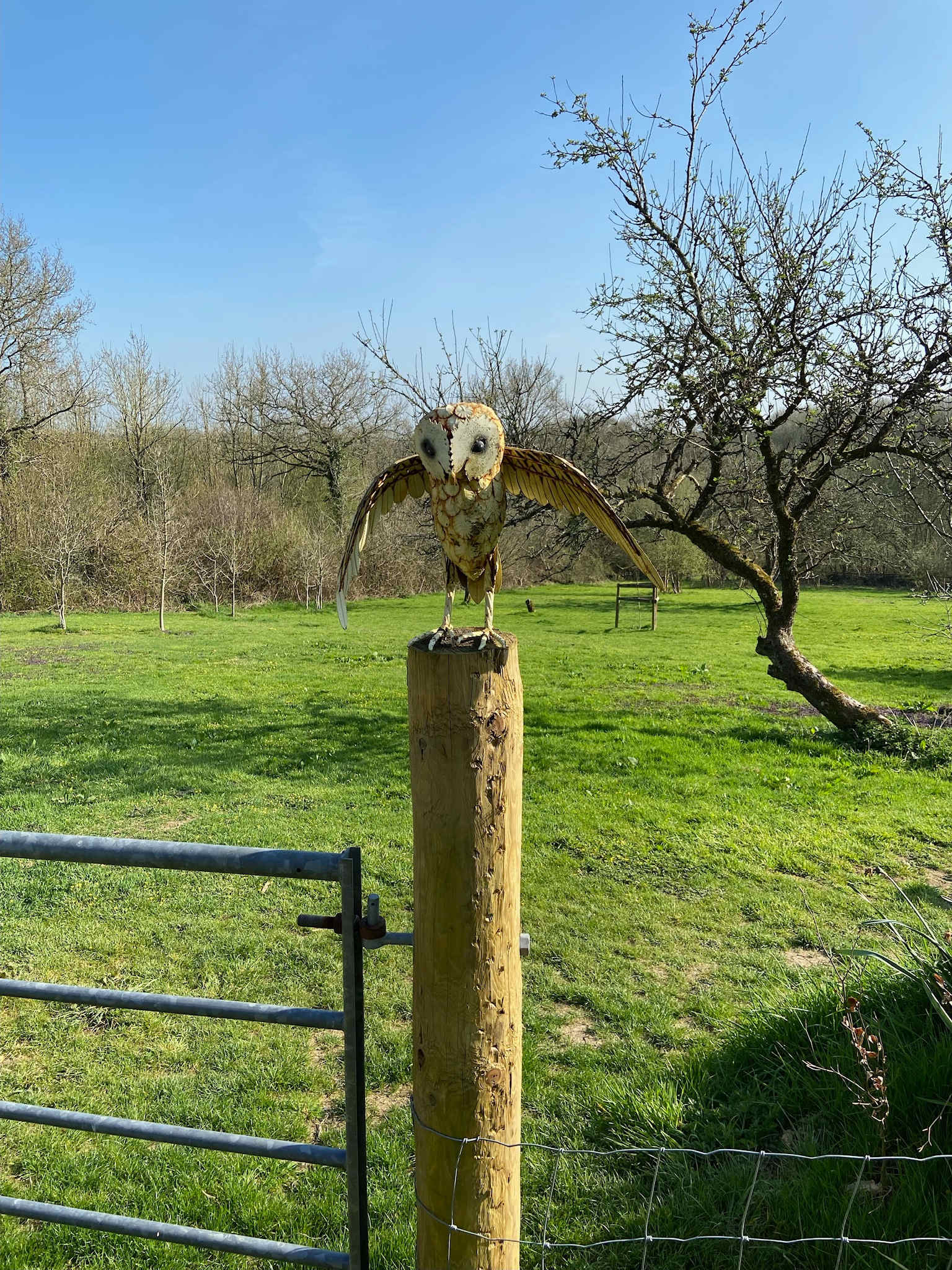 The orchard