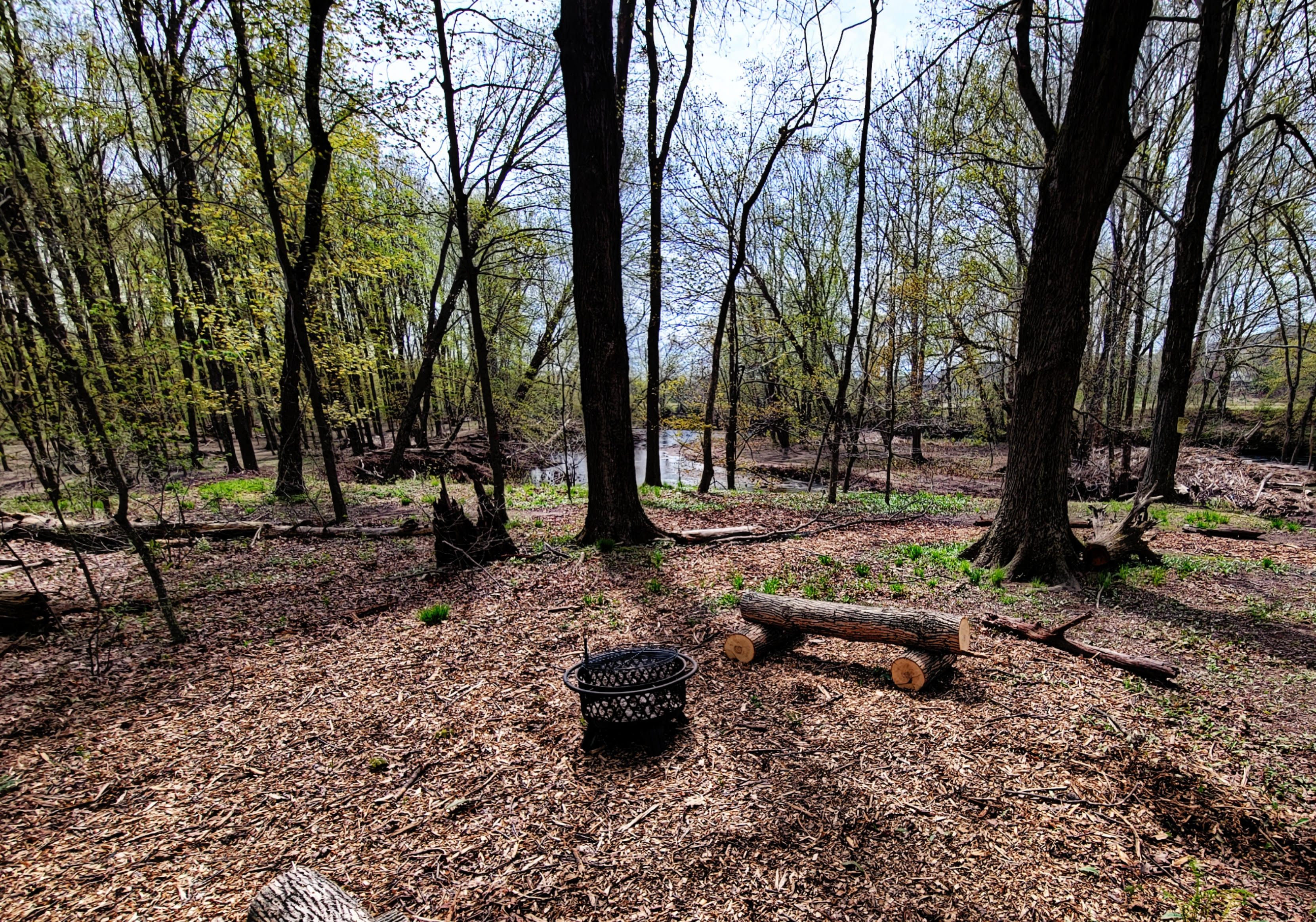 Picture of the site
