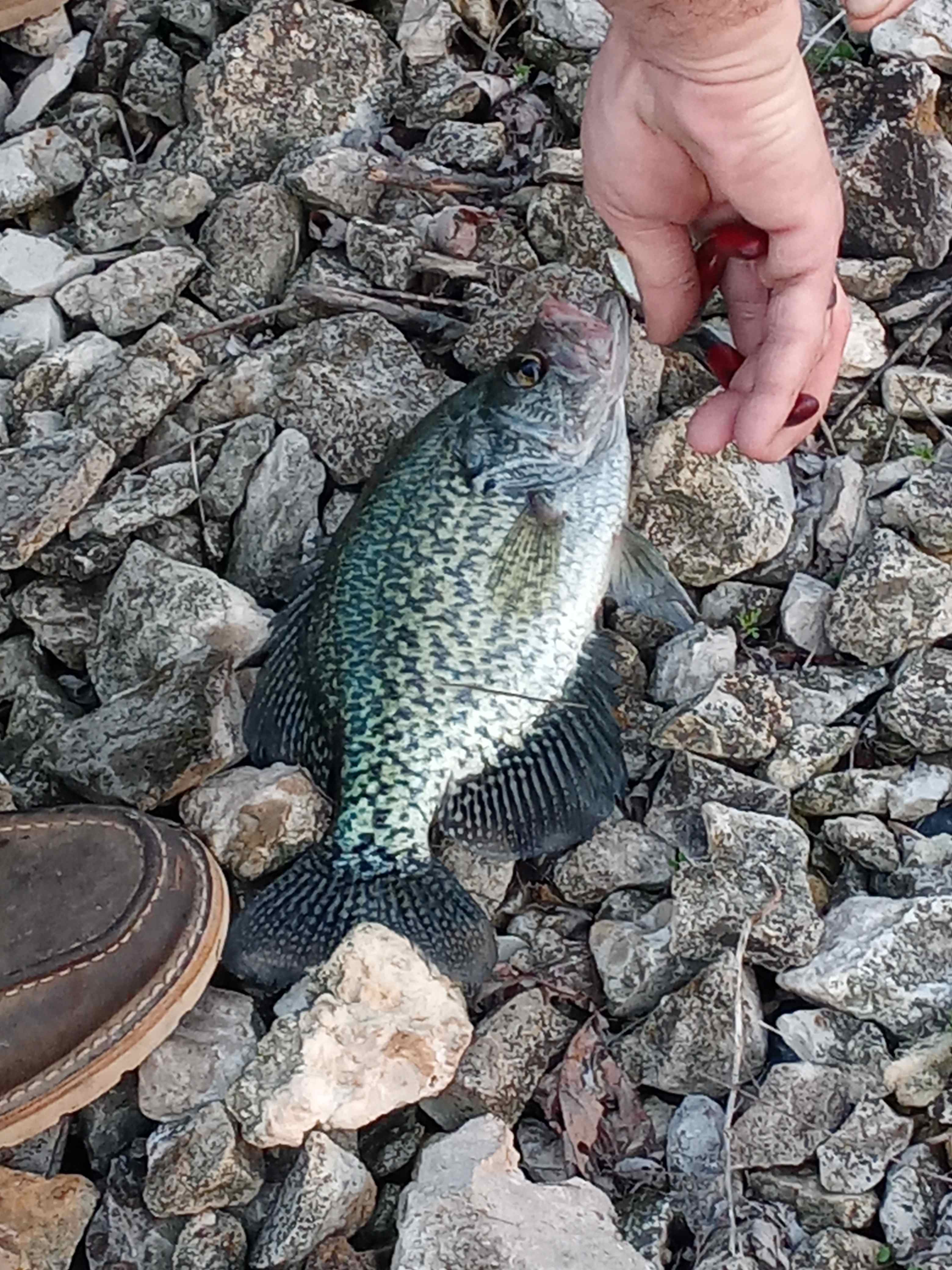Good fishing