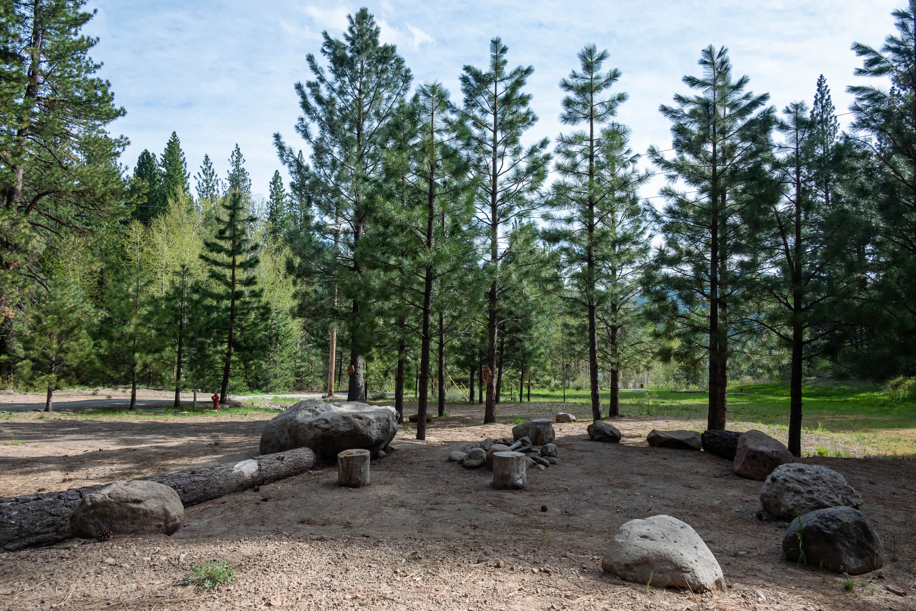 Picture of the site
