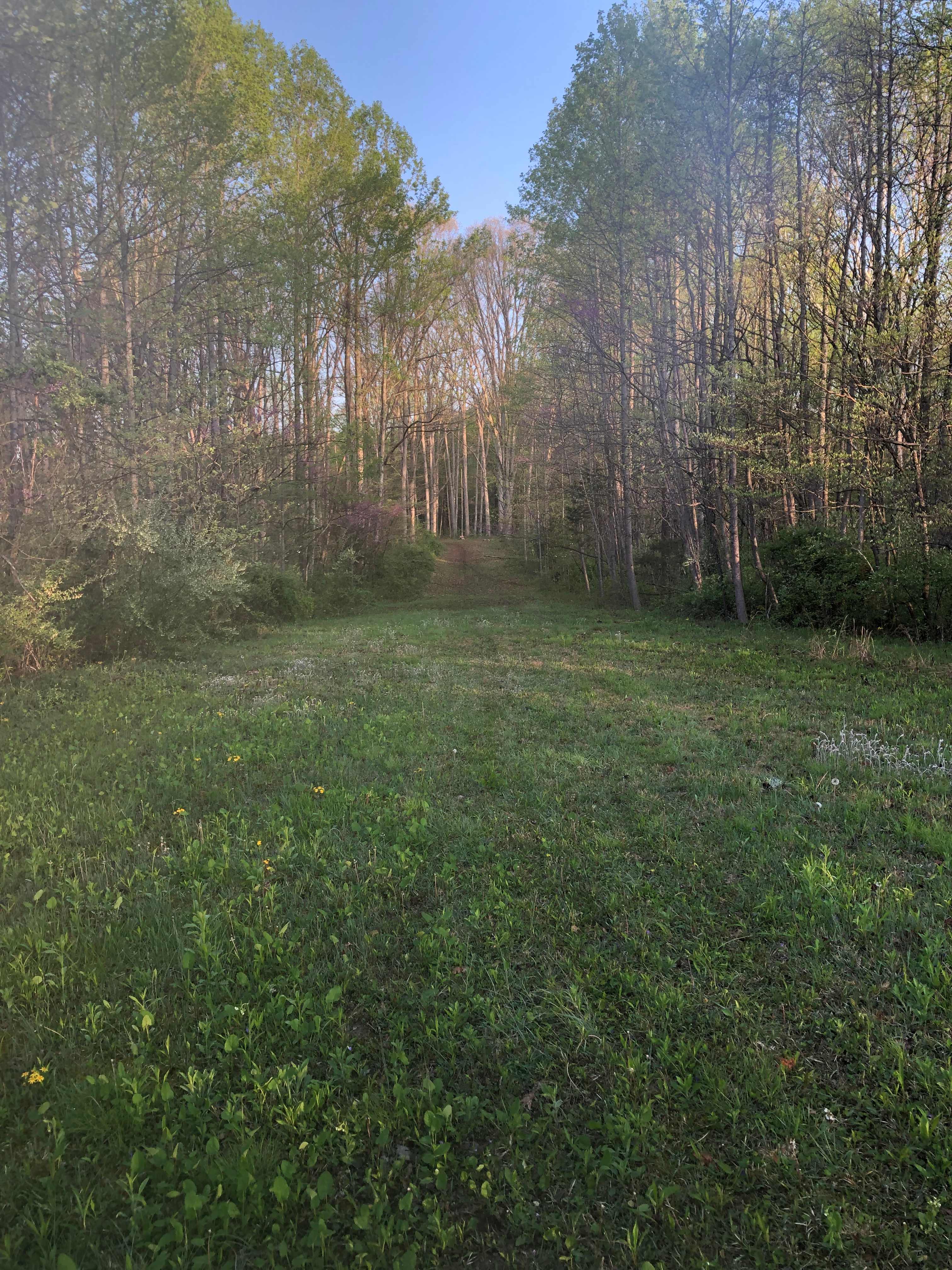 Harmony Hills
