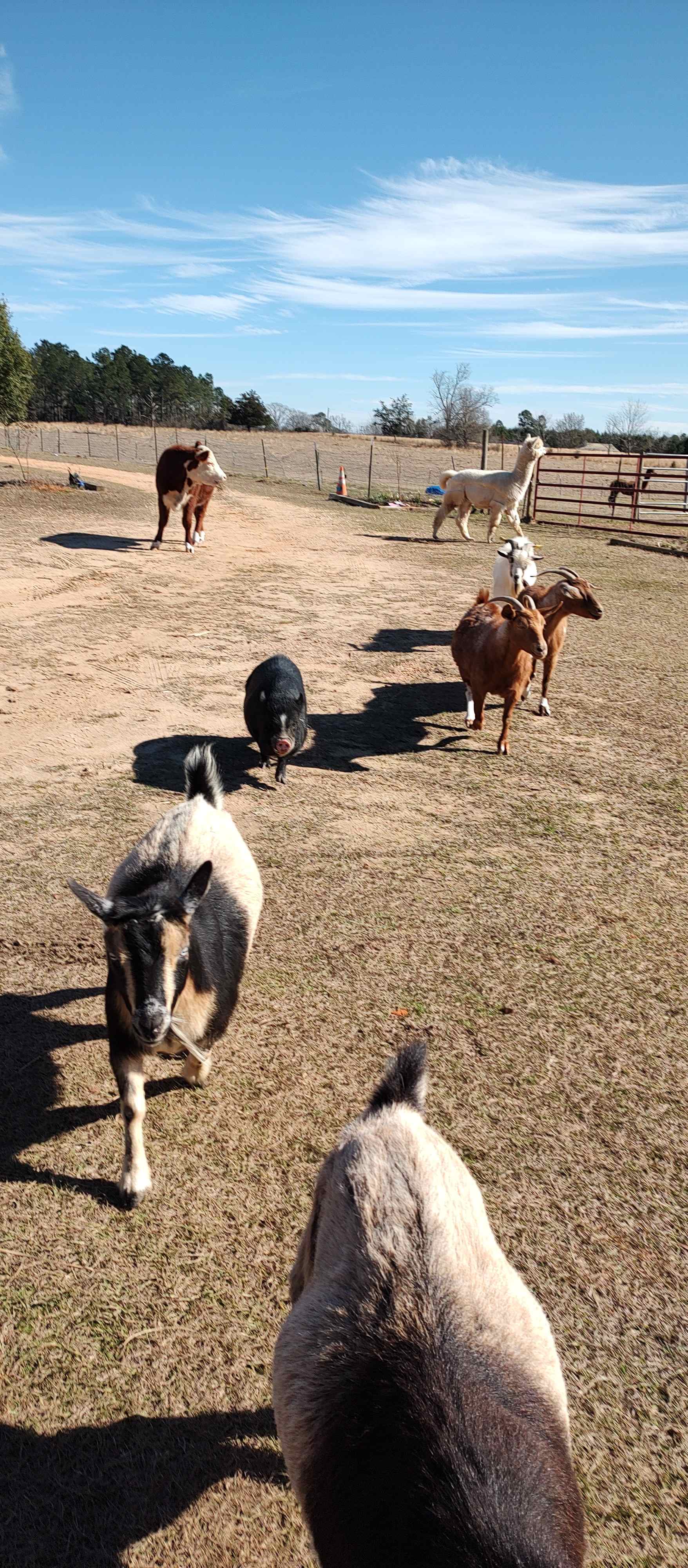Rockwood Farm