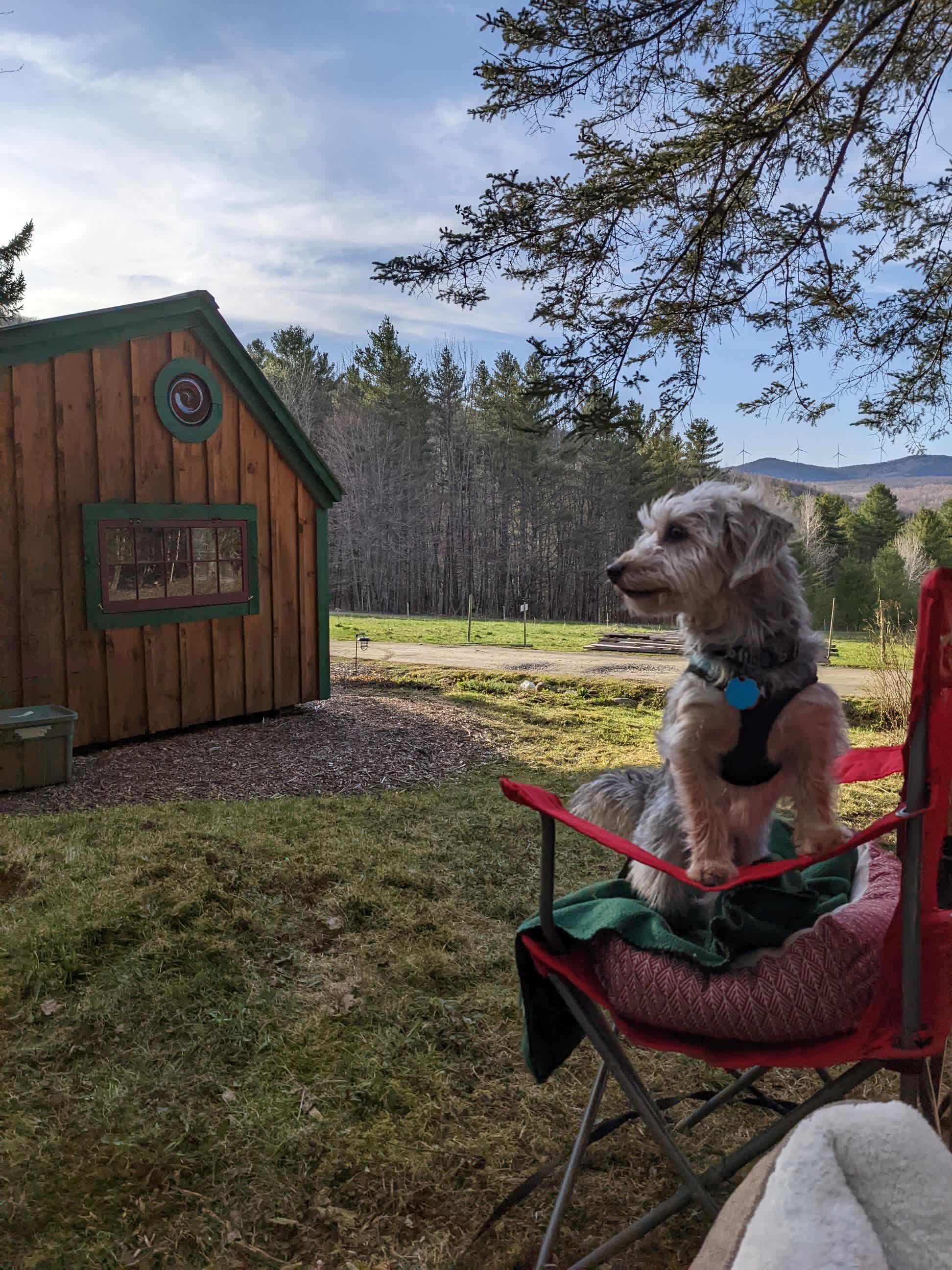 Zen Cabin