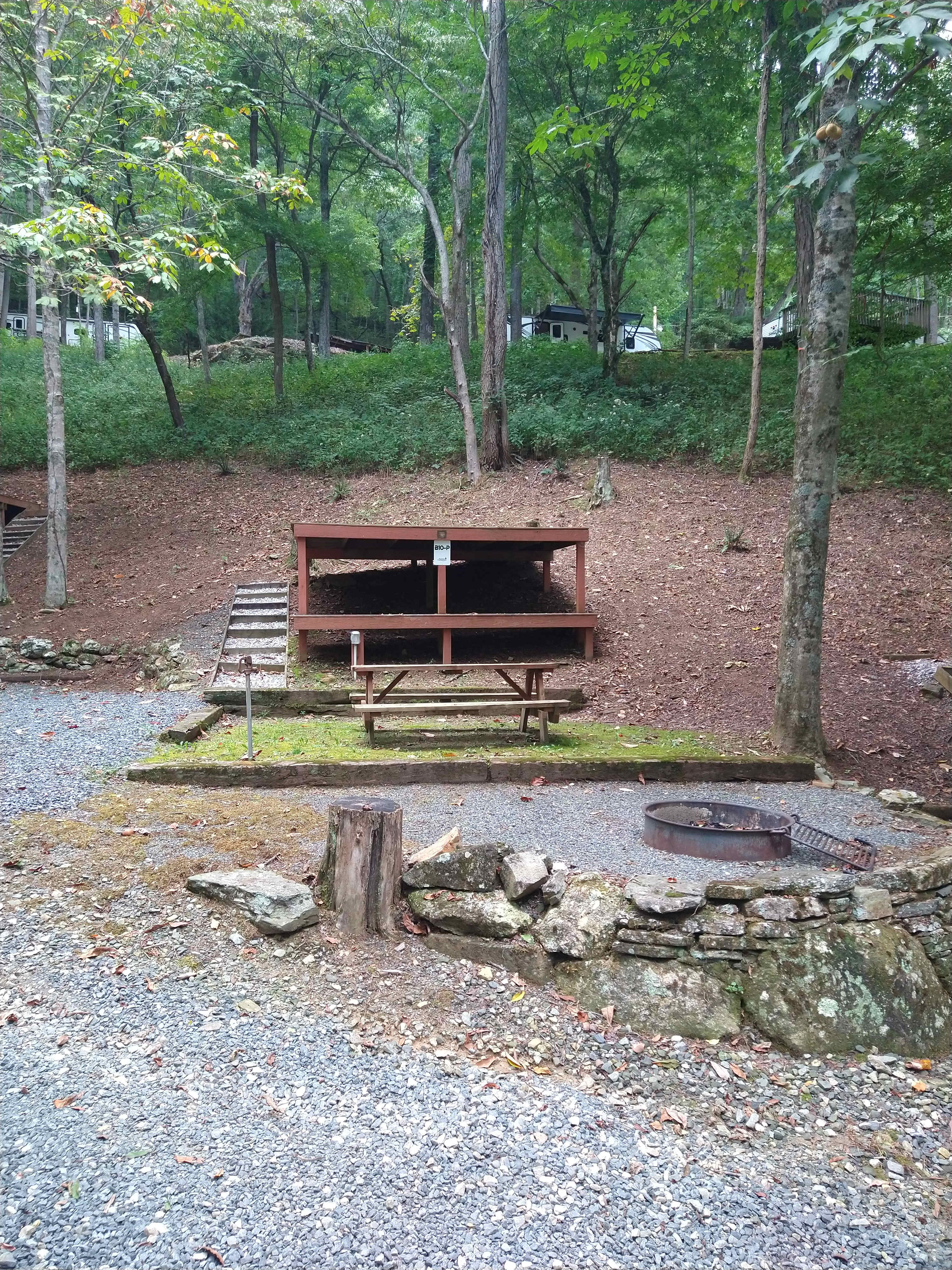 Picture of the site
