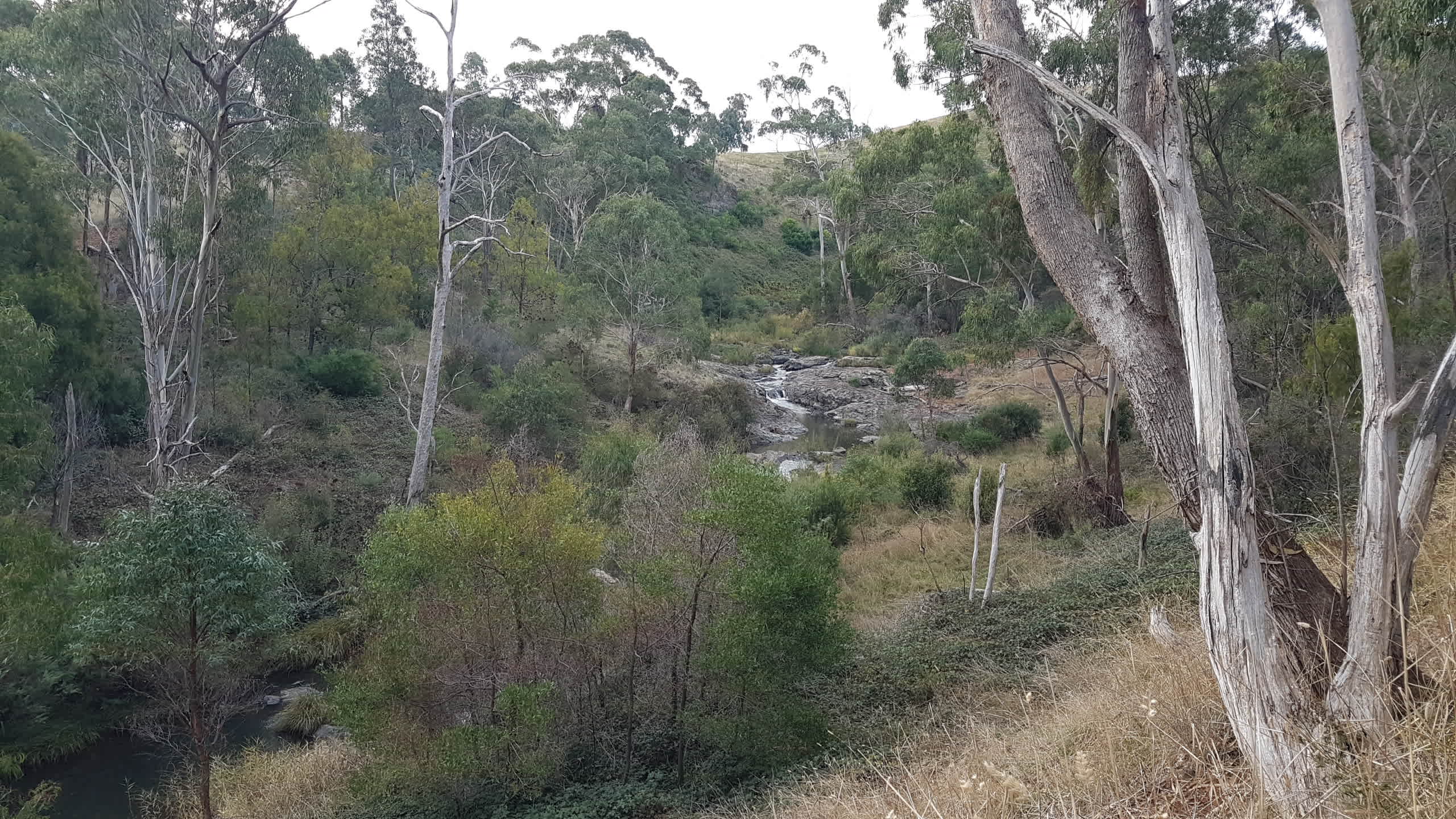 Mountain Solace
