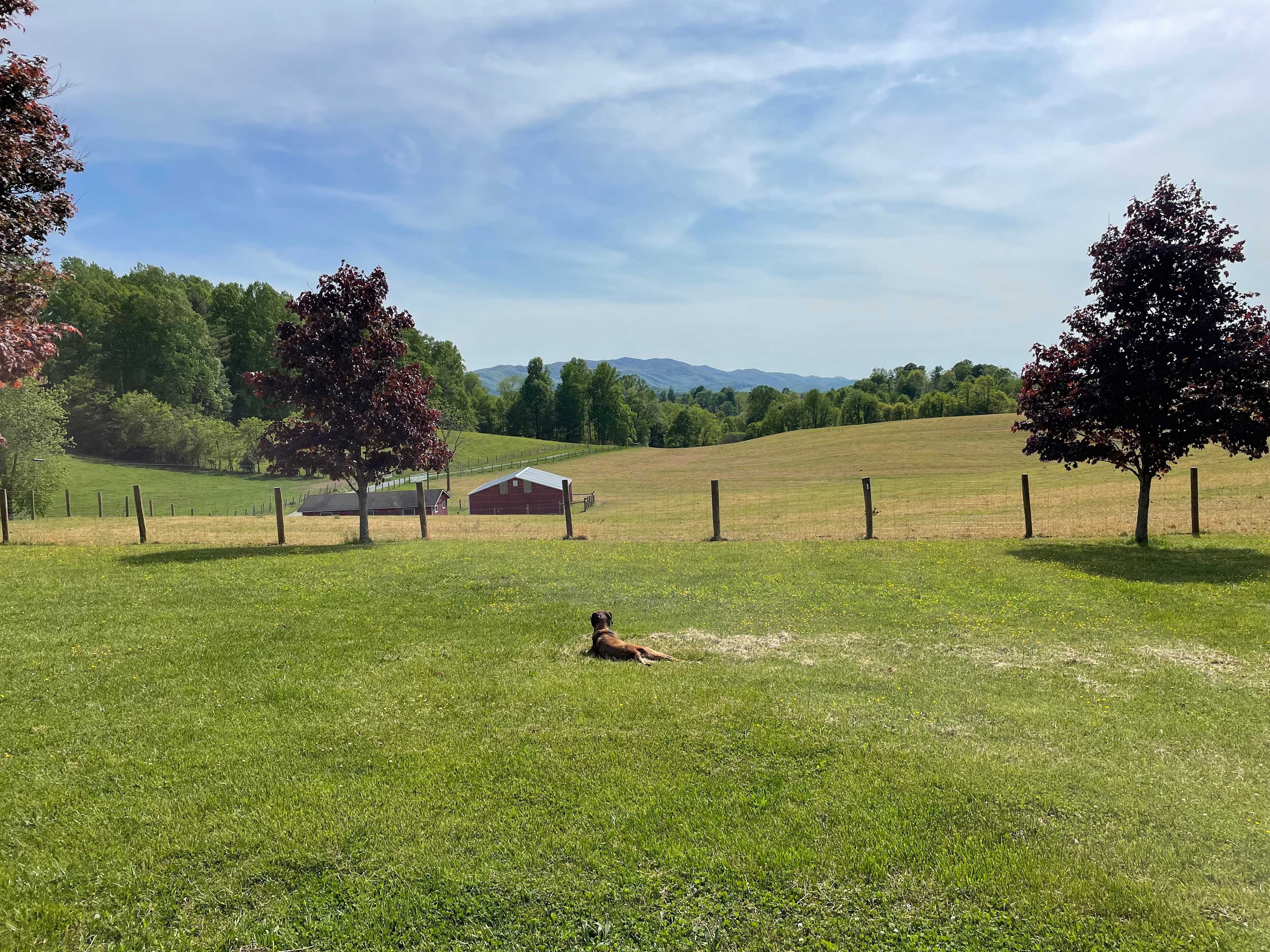 Secluded Farm Camp near Damascus VA