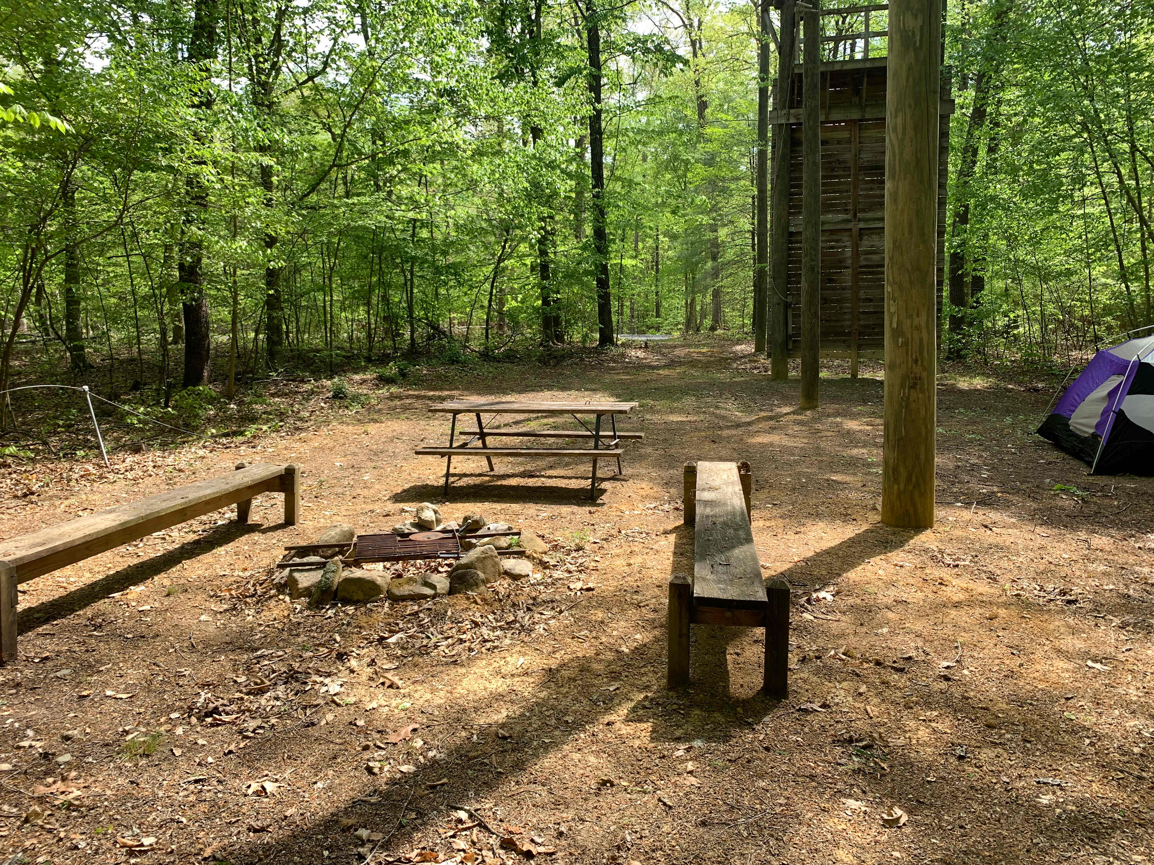 Picture of the site