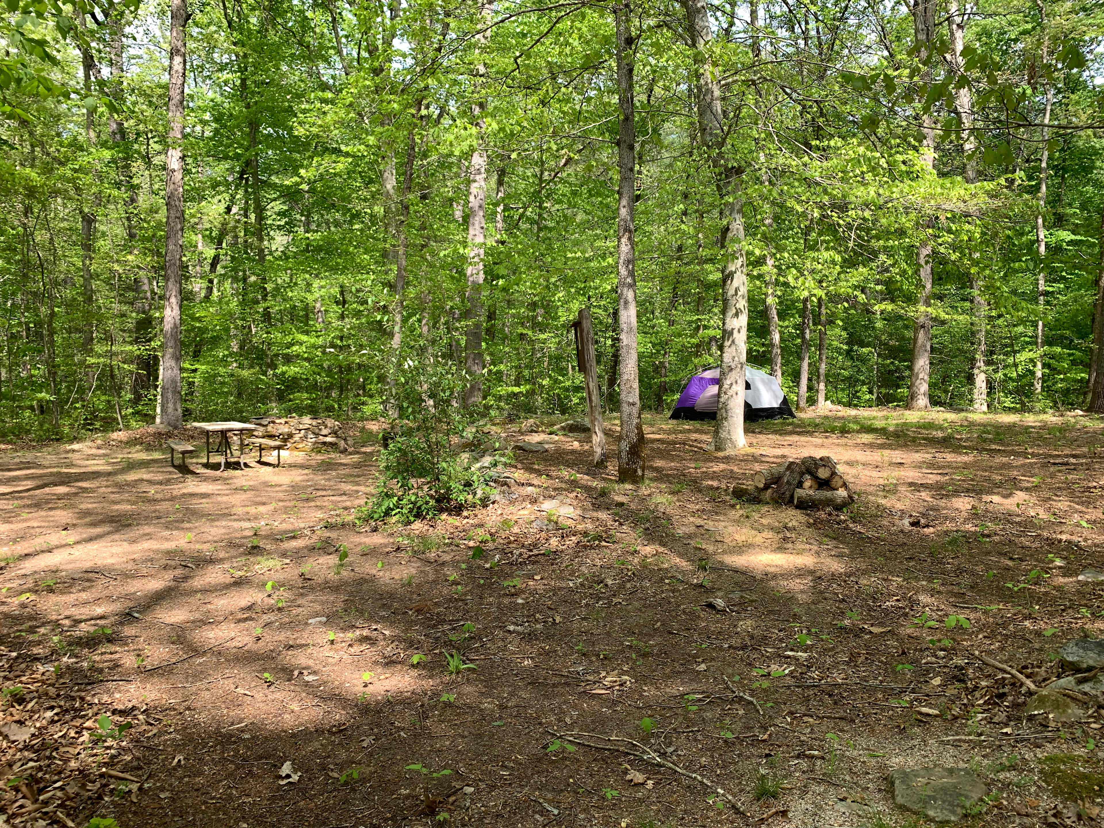 Picture of the site