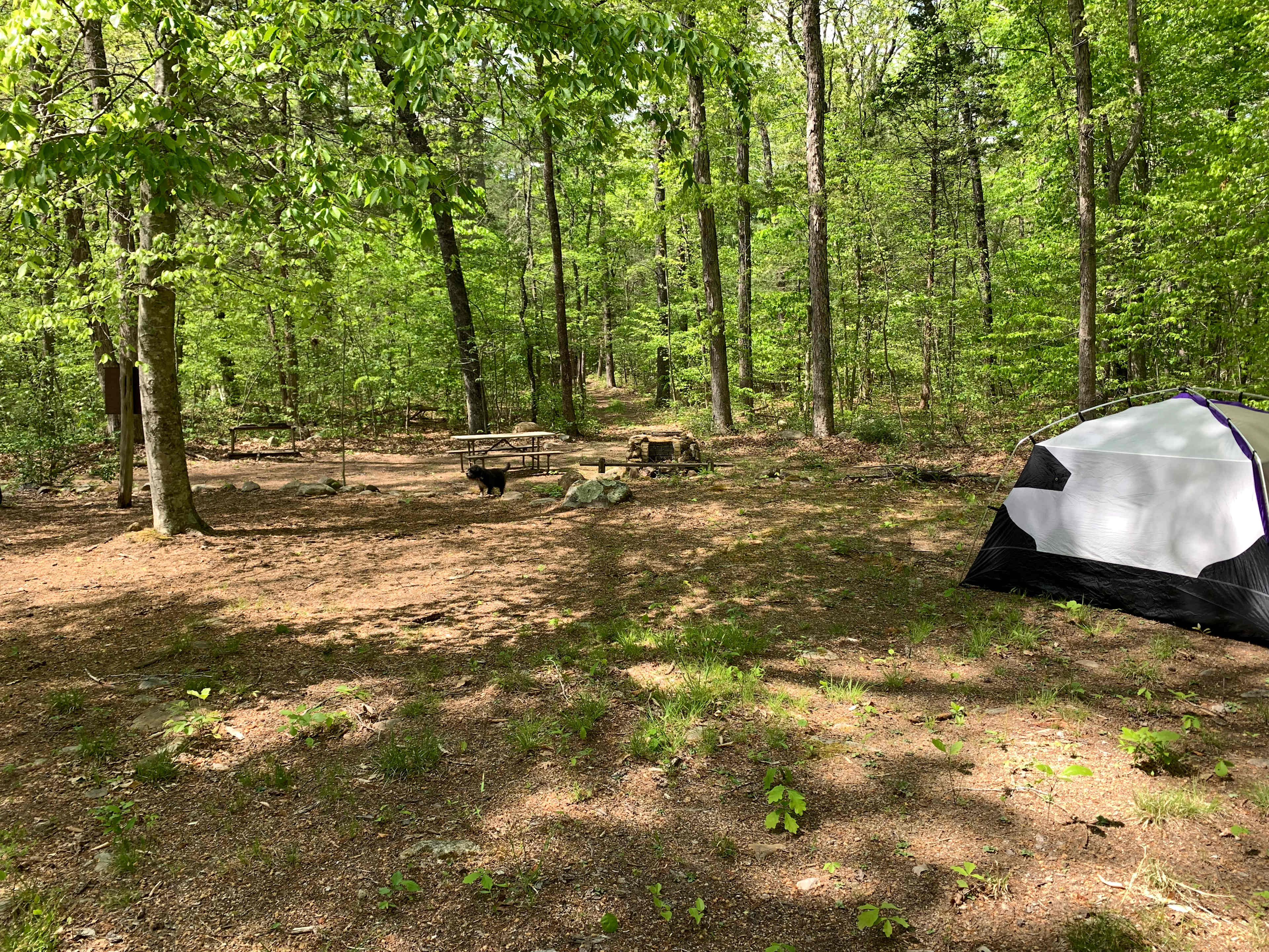Picture of the site