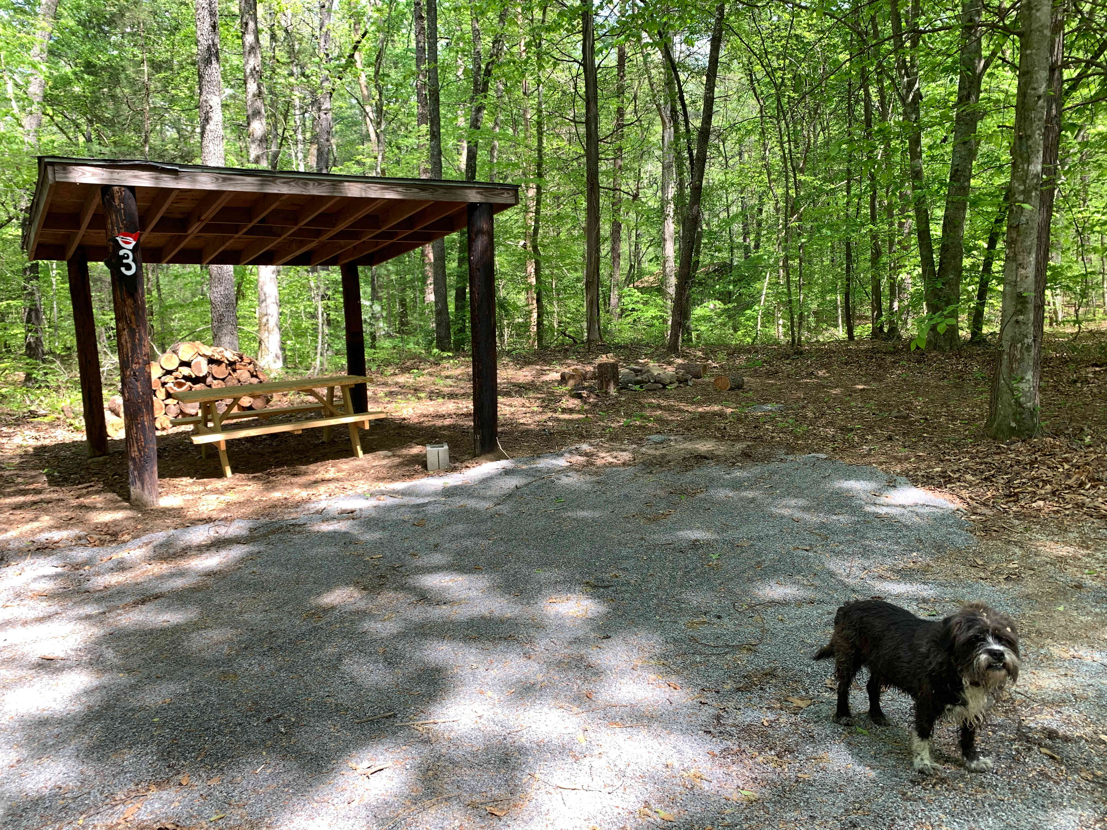 Picture of the site