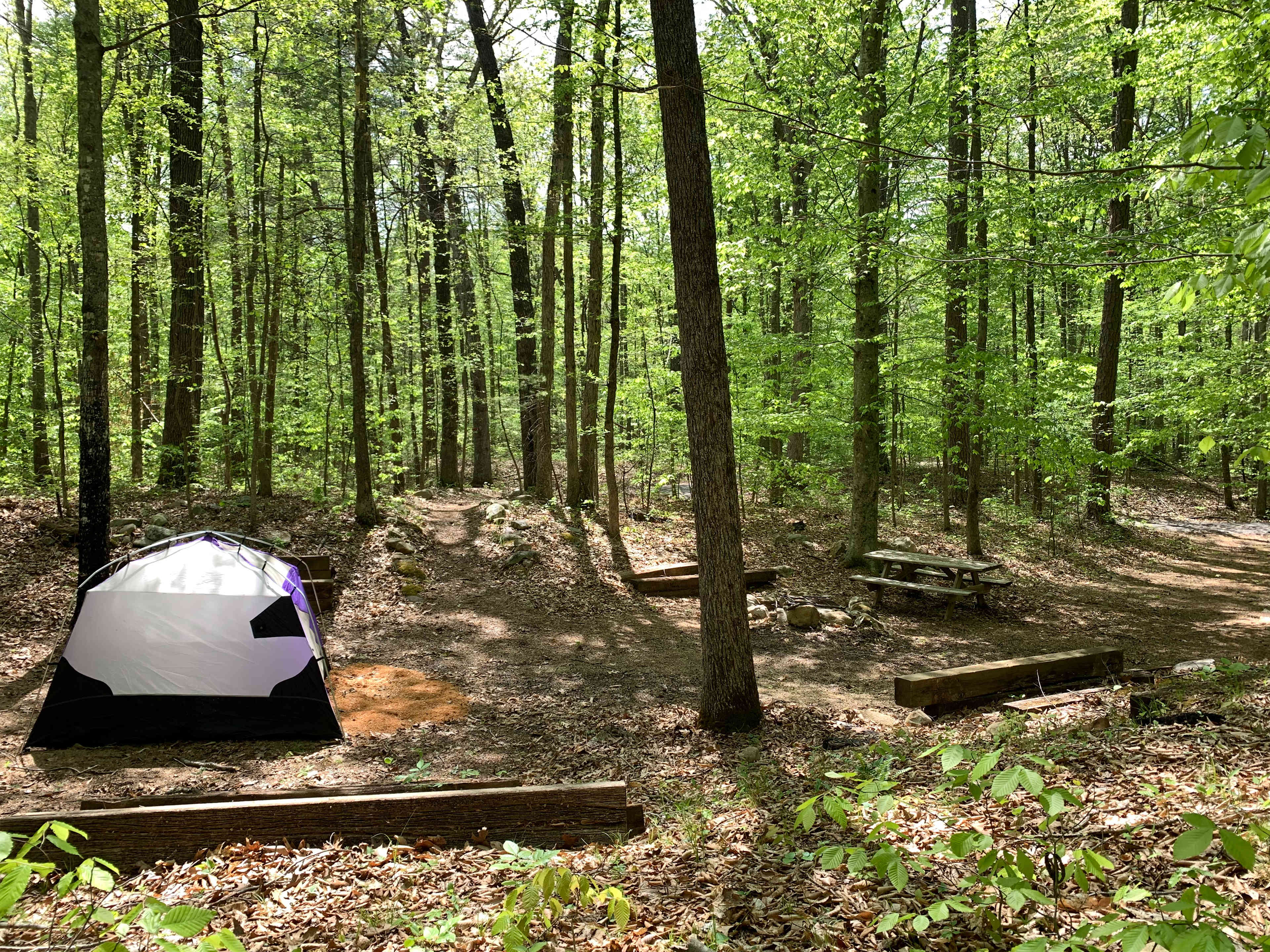 Picture of the site