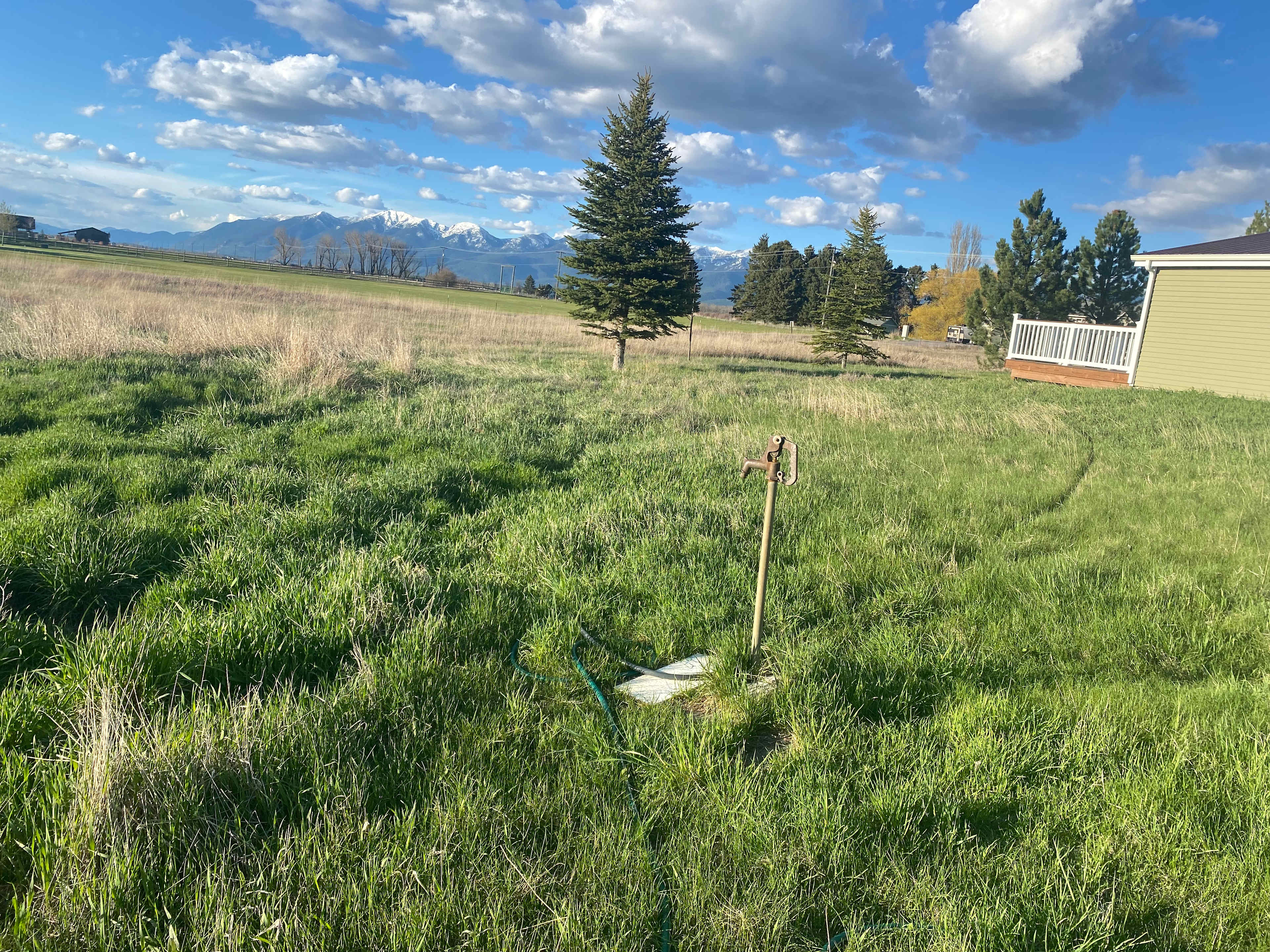 Pasture with views!
