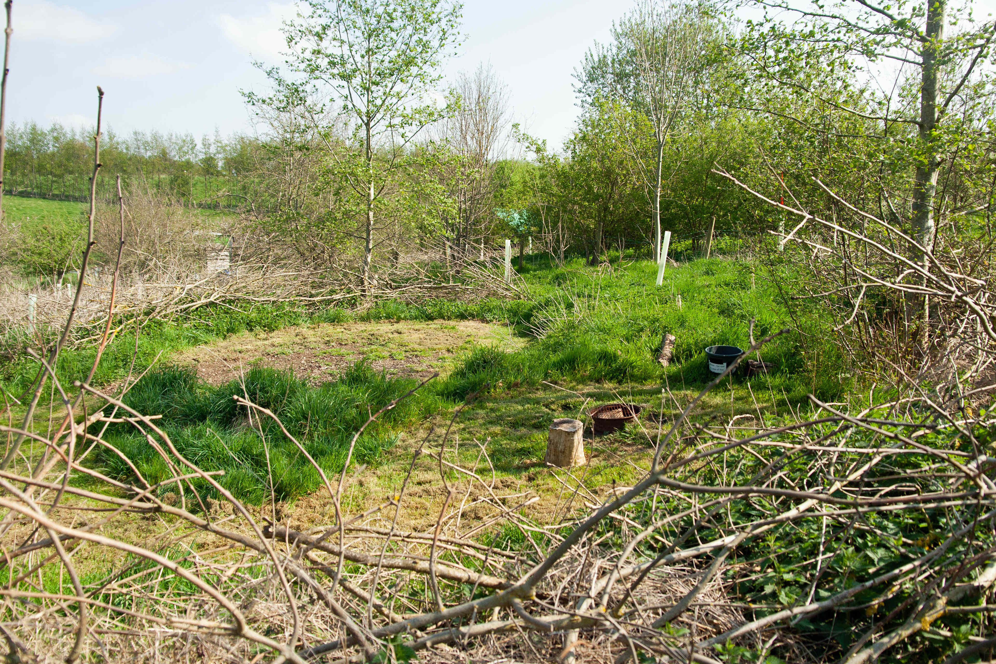 Picture of the site