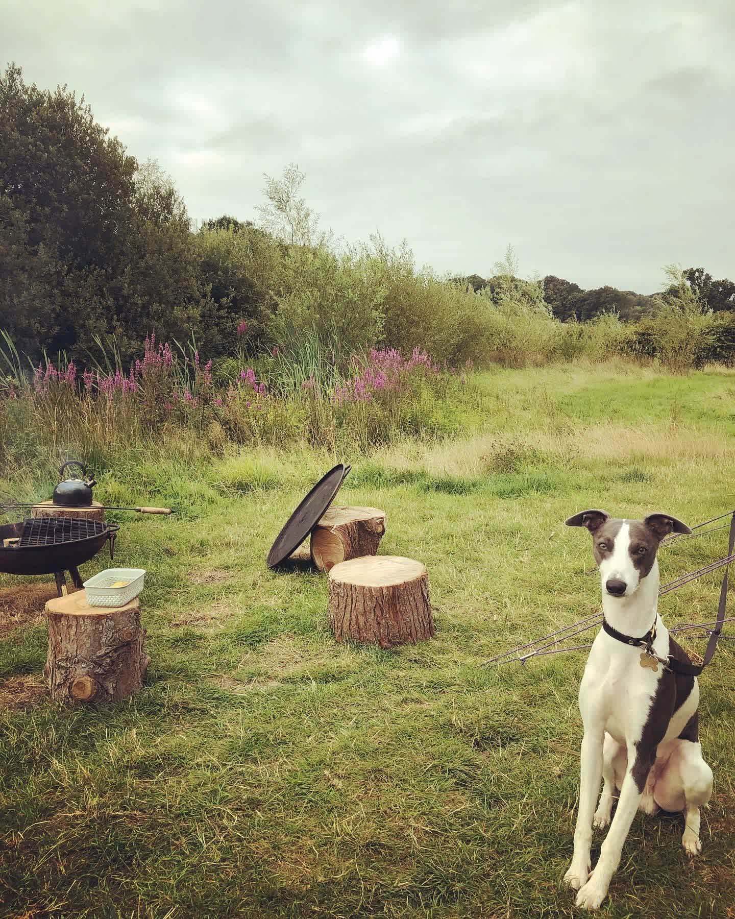 Stone Pit Meadows