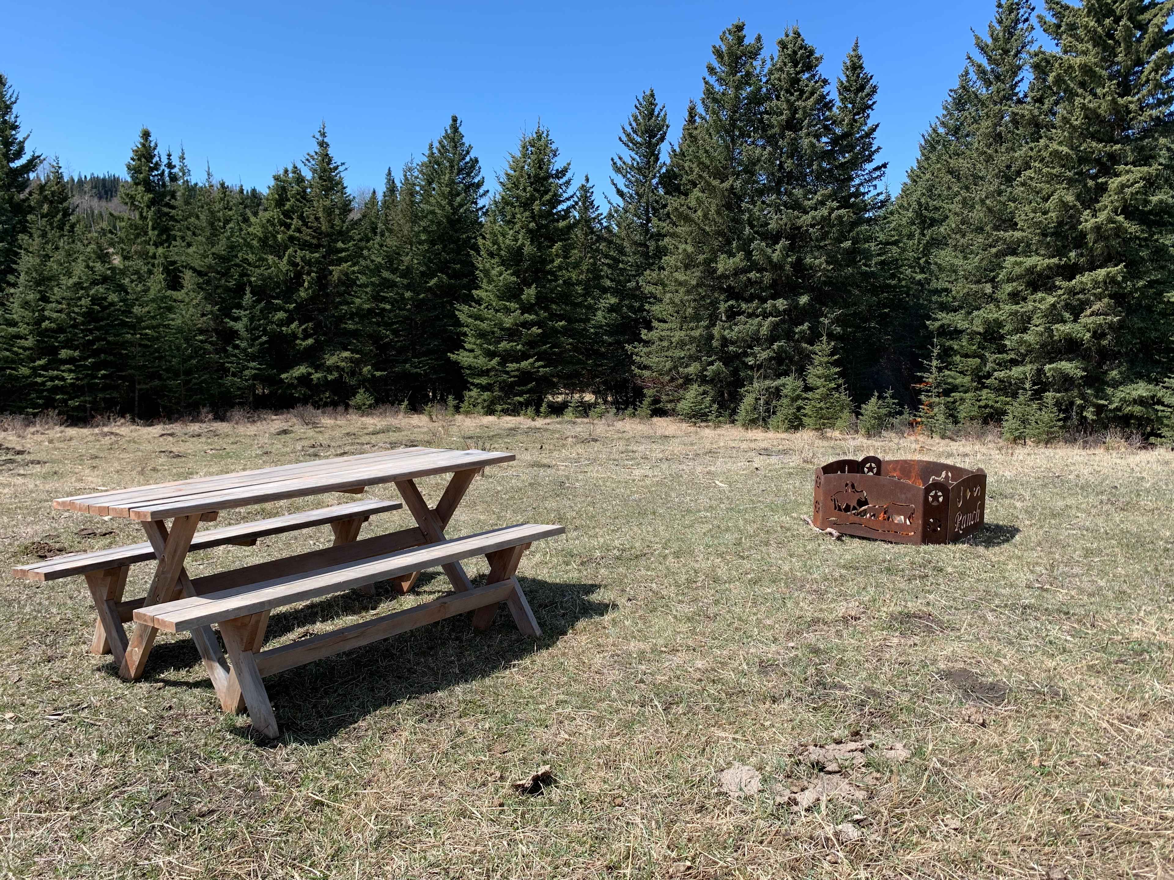 Picture of the site