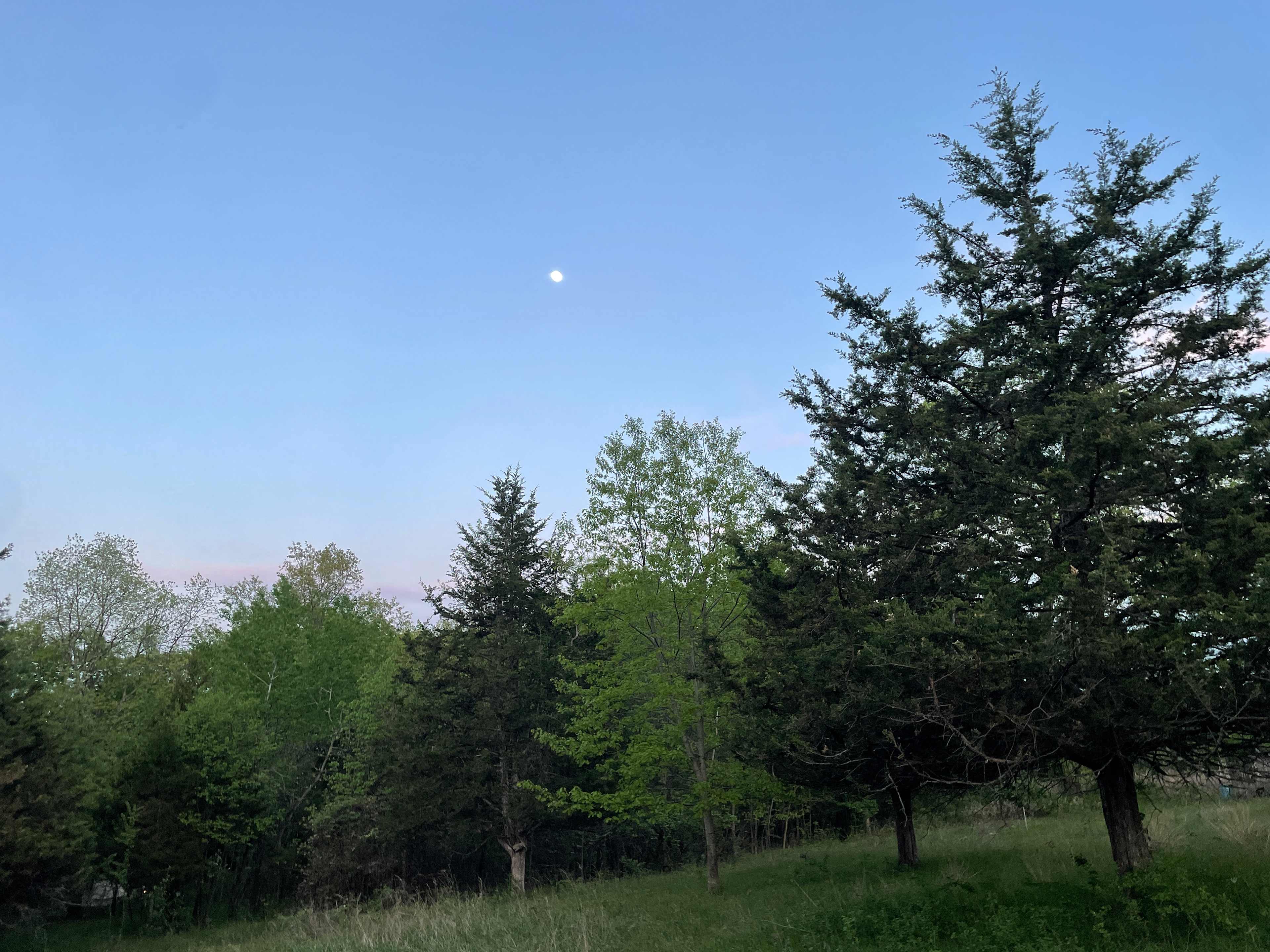 Hickory Hollow