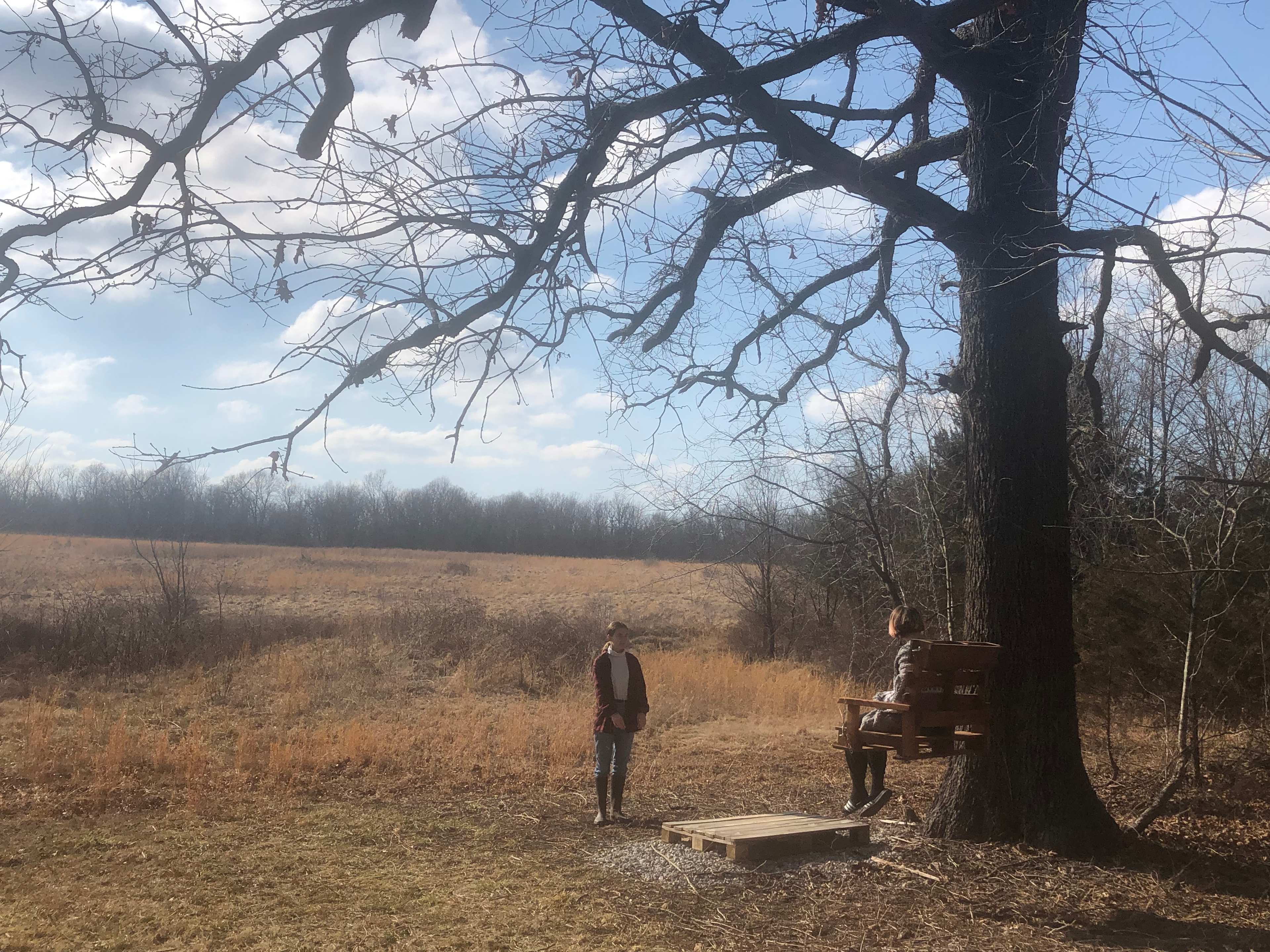 Peaceful Rest in Ozark Oak Nest