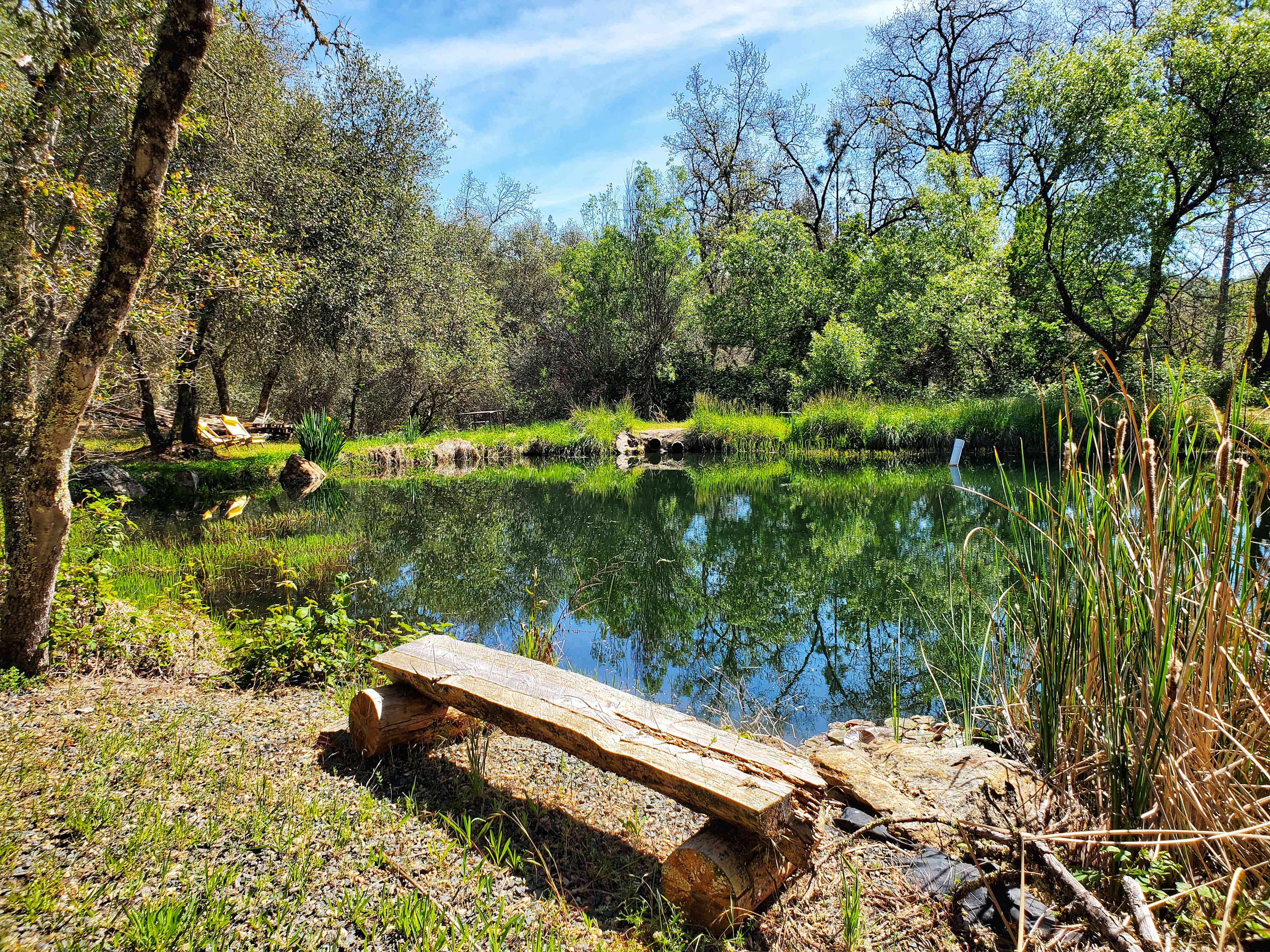 Peaceful Pond Retreat