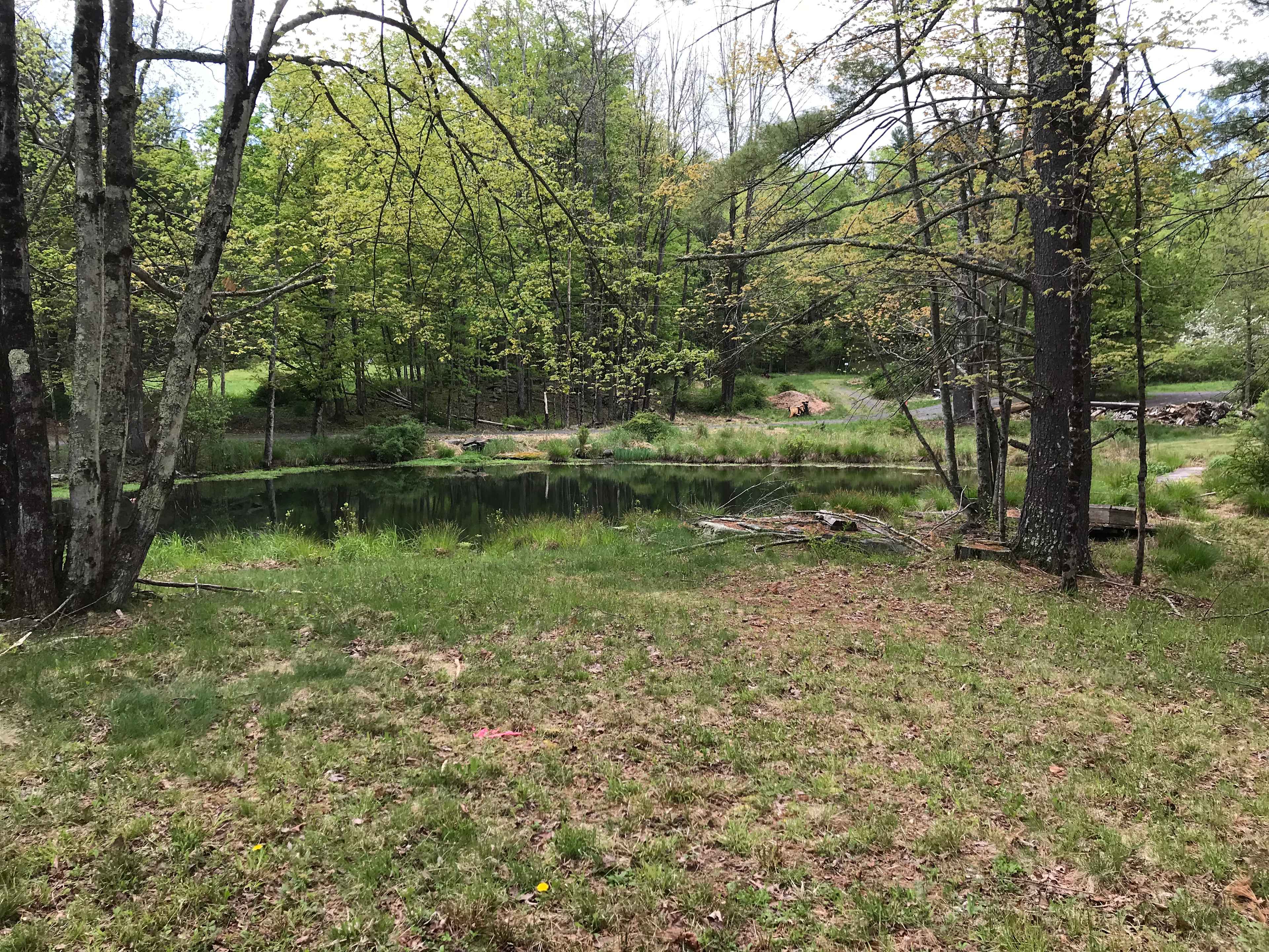 View from The Knoll
