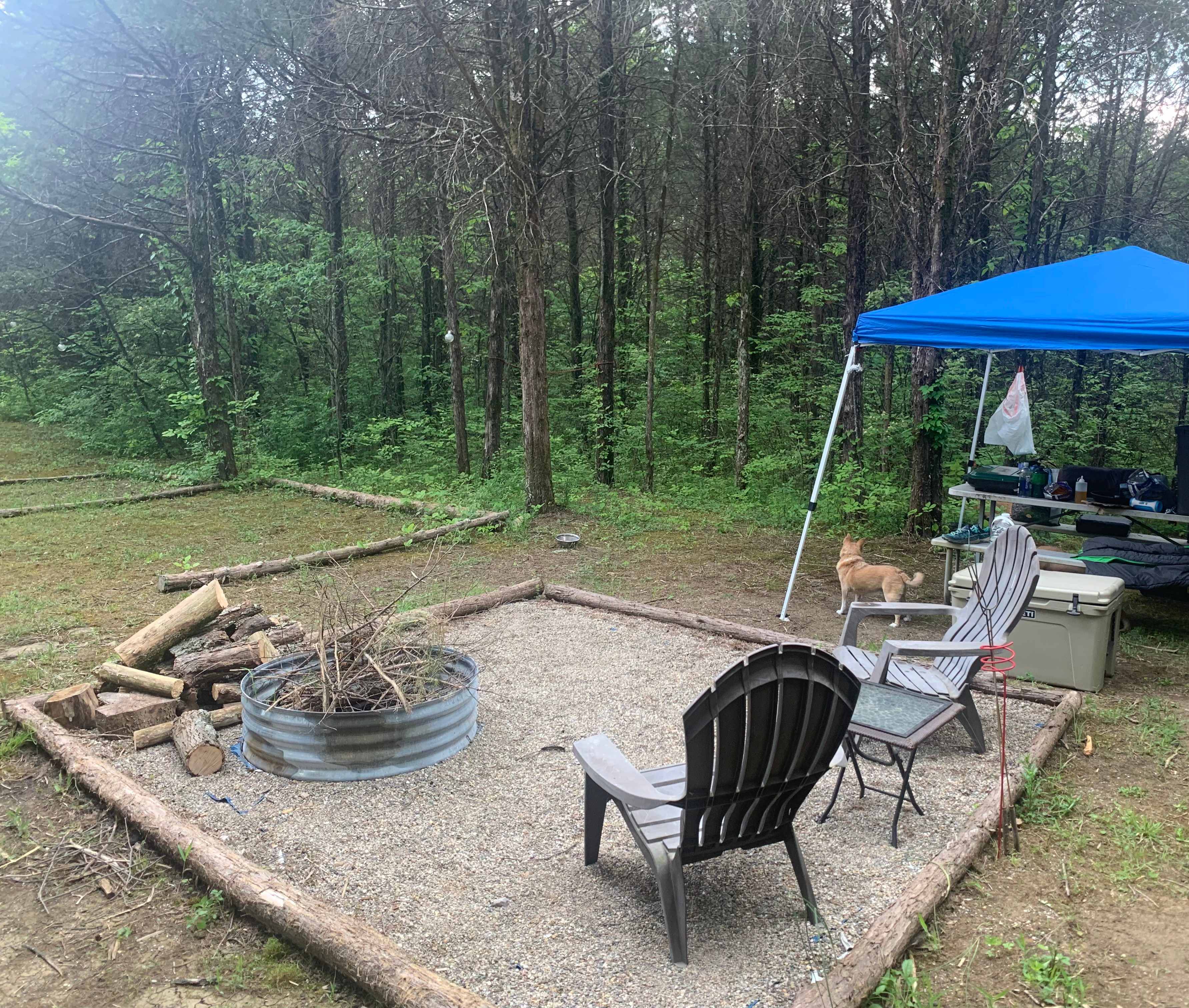 Picture of the site