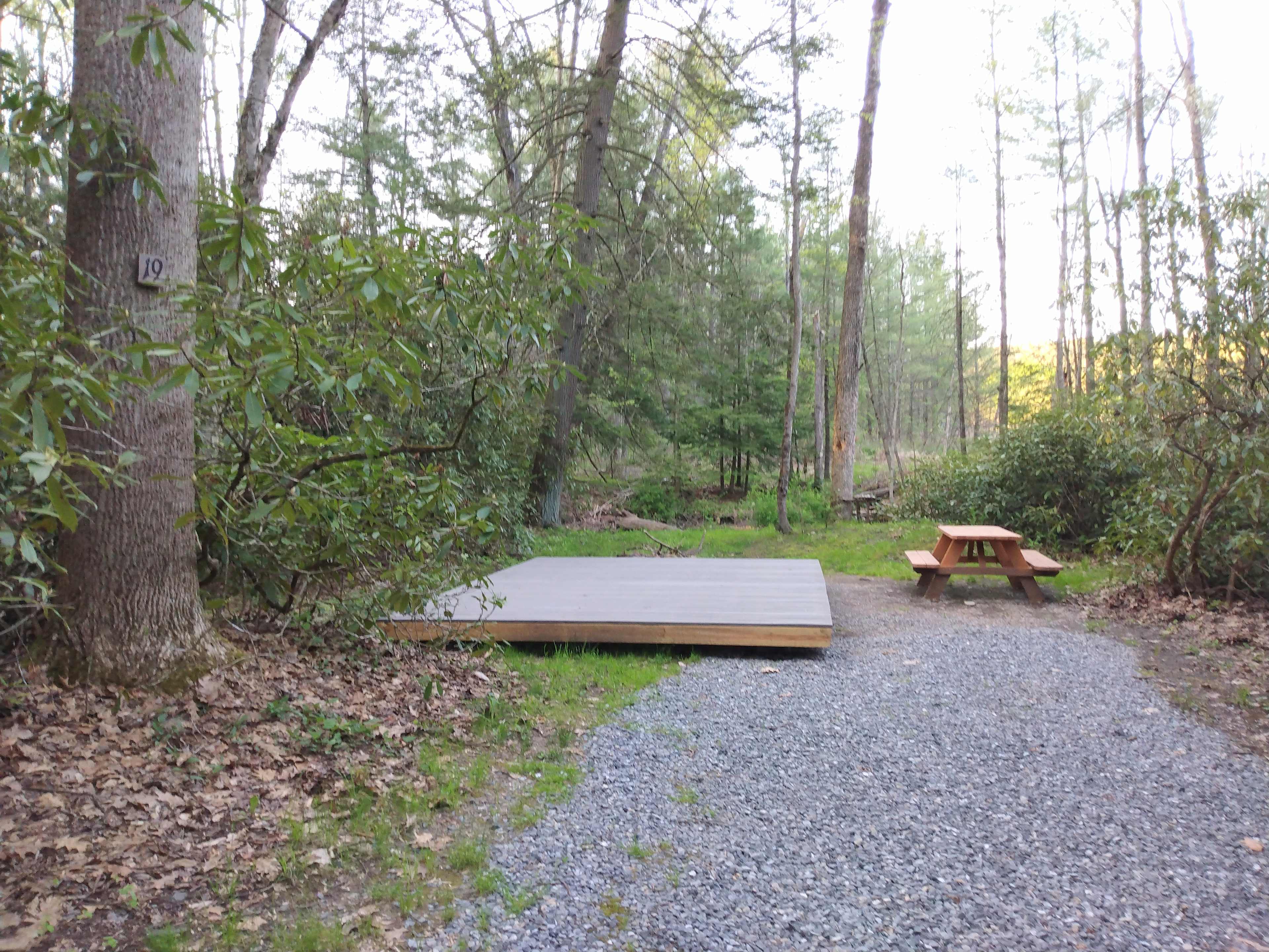 Picture of the site
