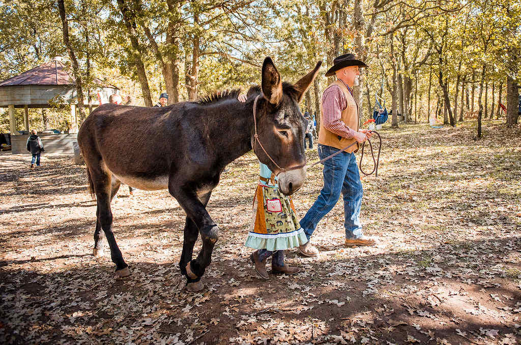 Optional Donkey Farmer Interactions