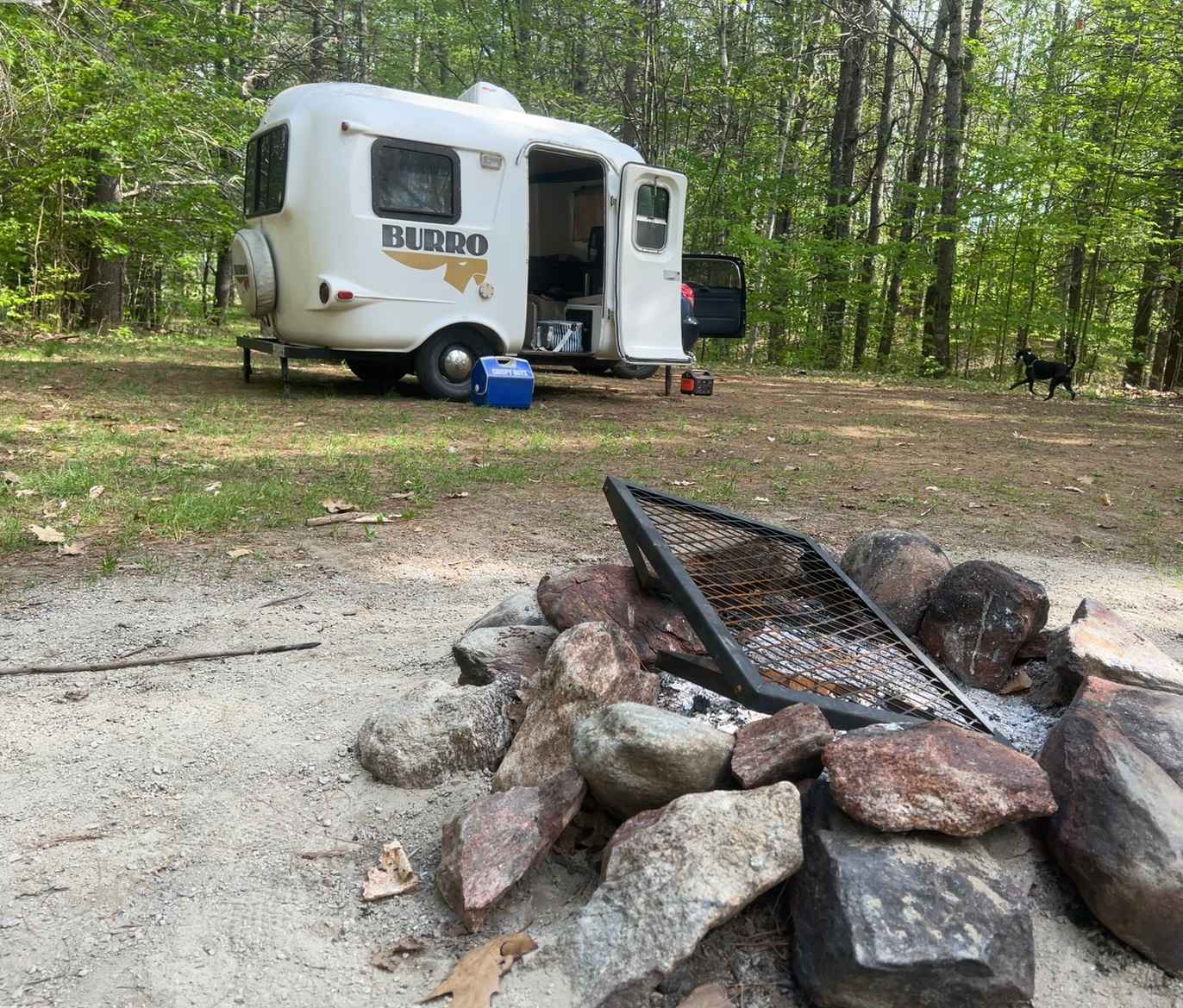 Picture of the site