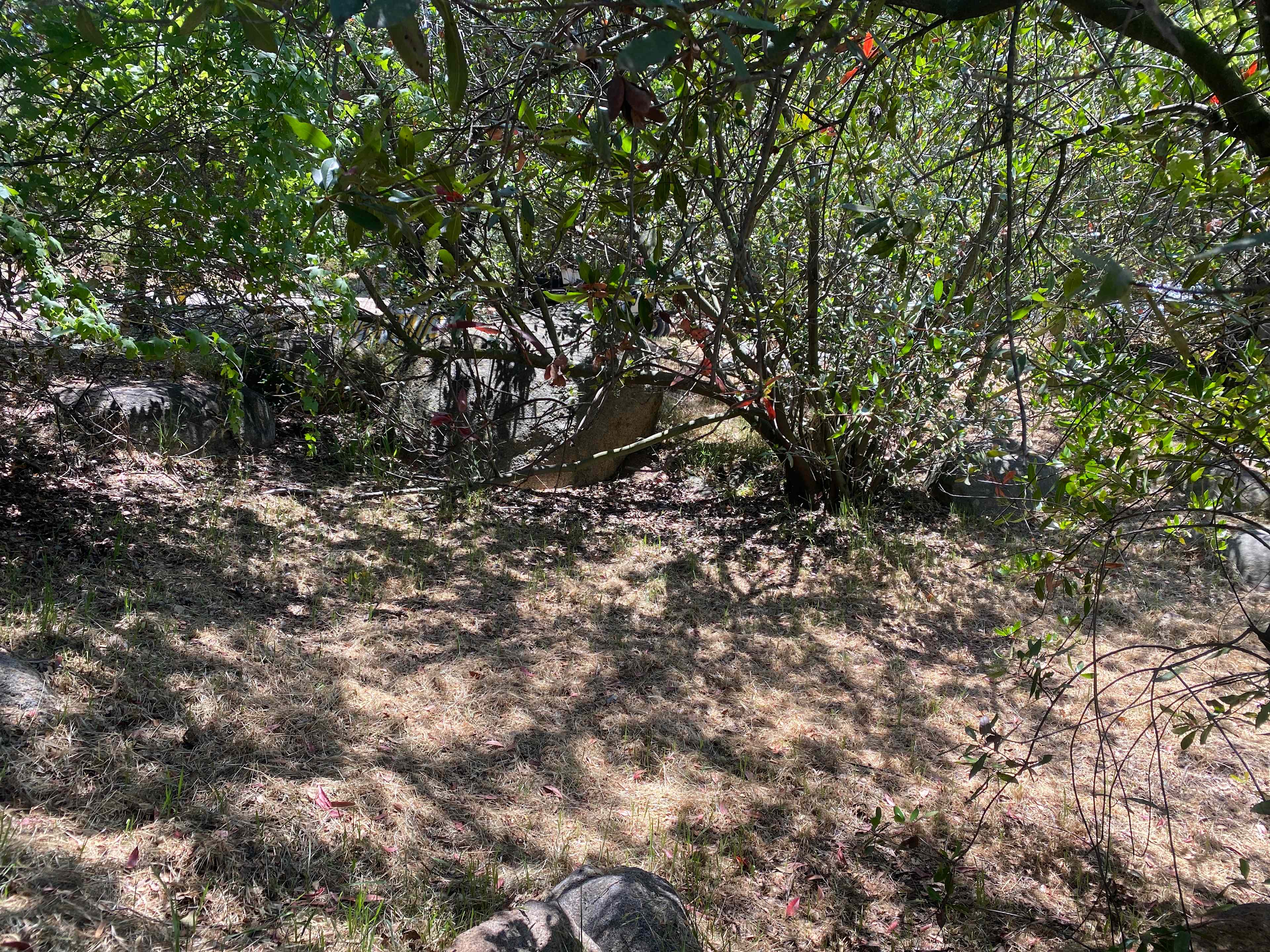 Old well ranch