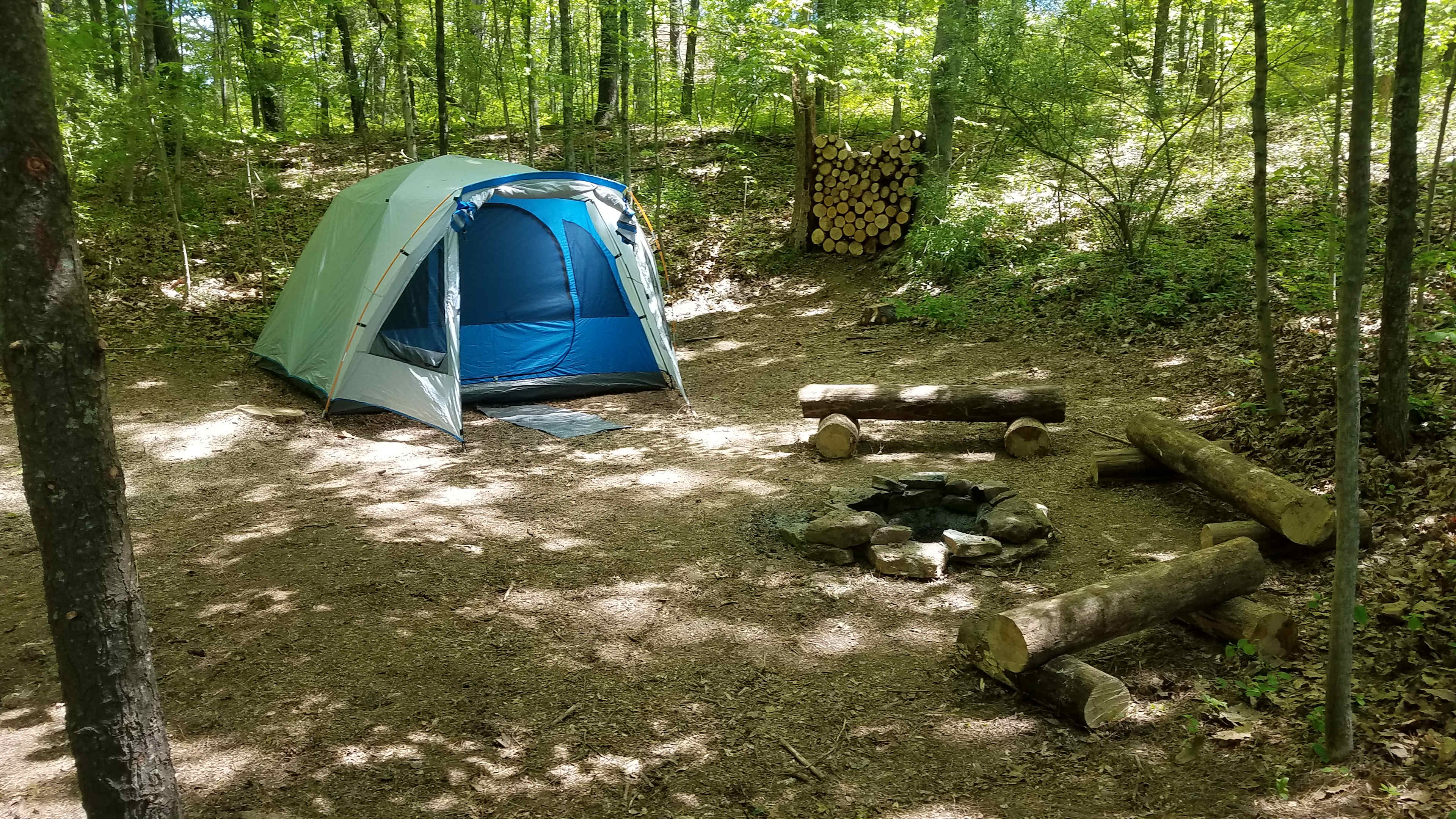 Picture of the site