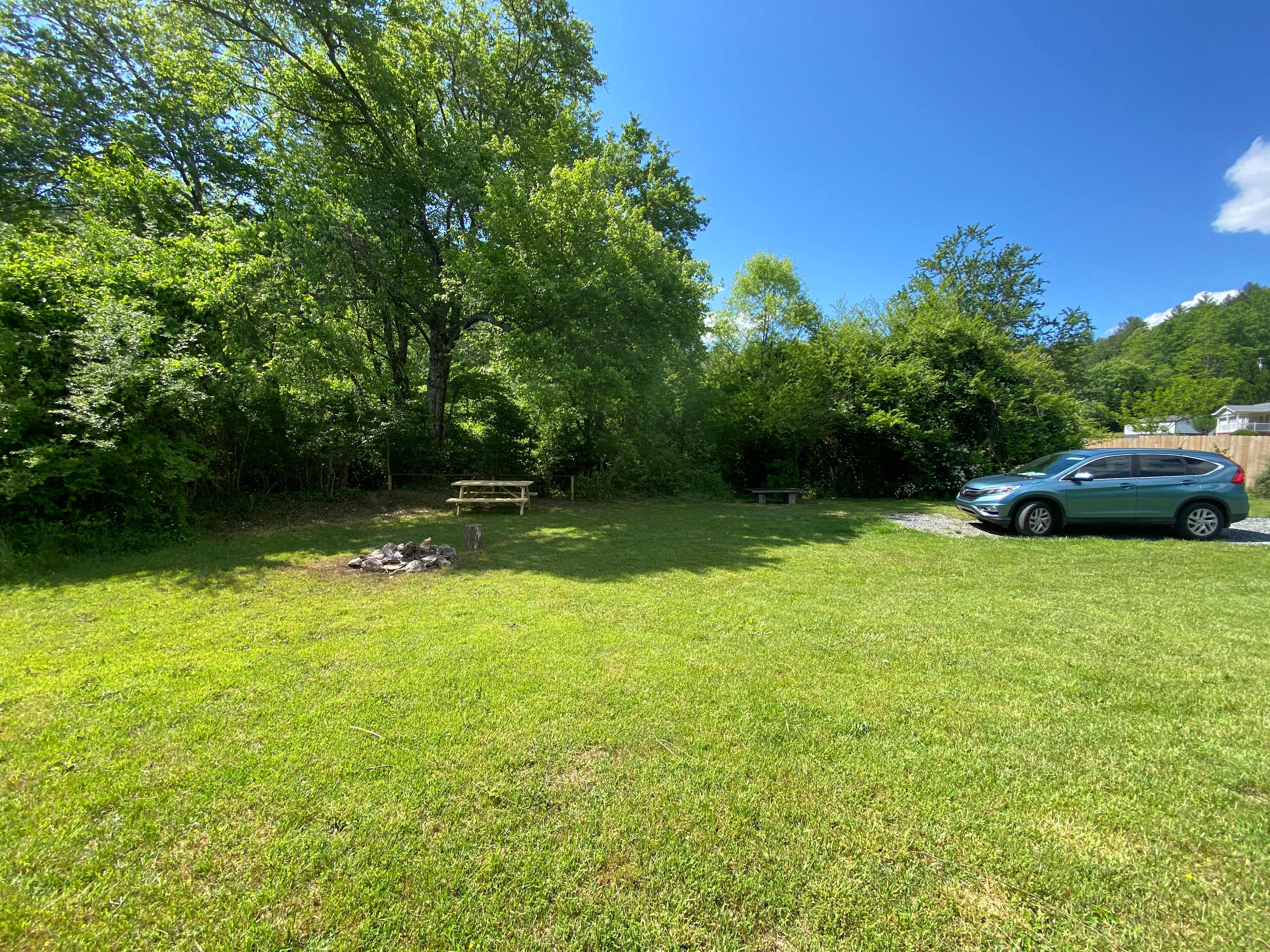 Pisgah Forest Mountain Meadows
