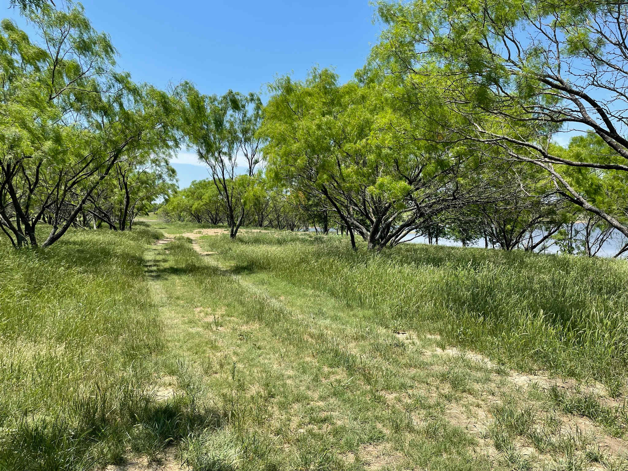 Path to RV camping area