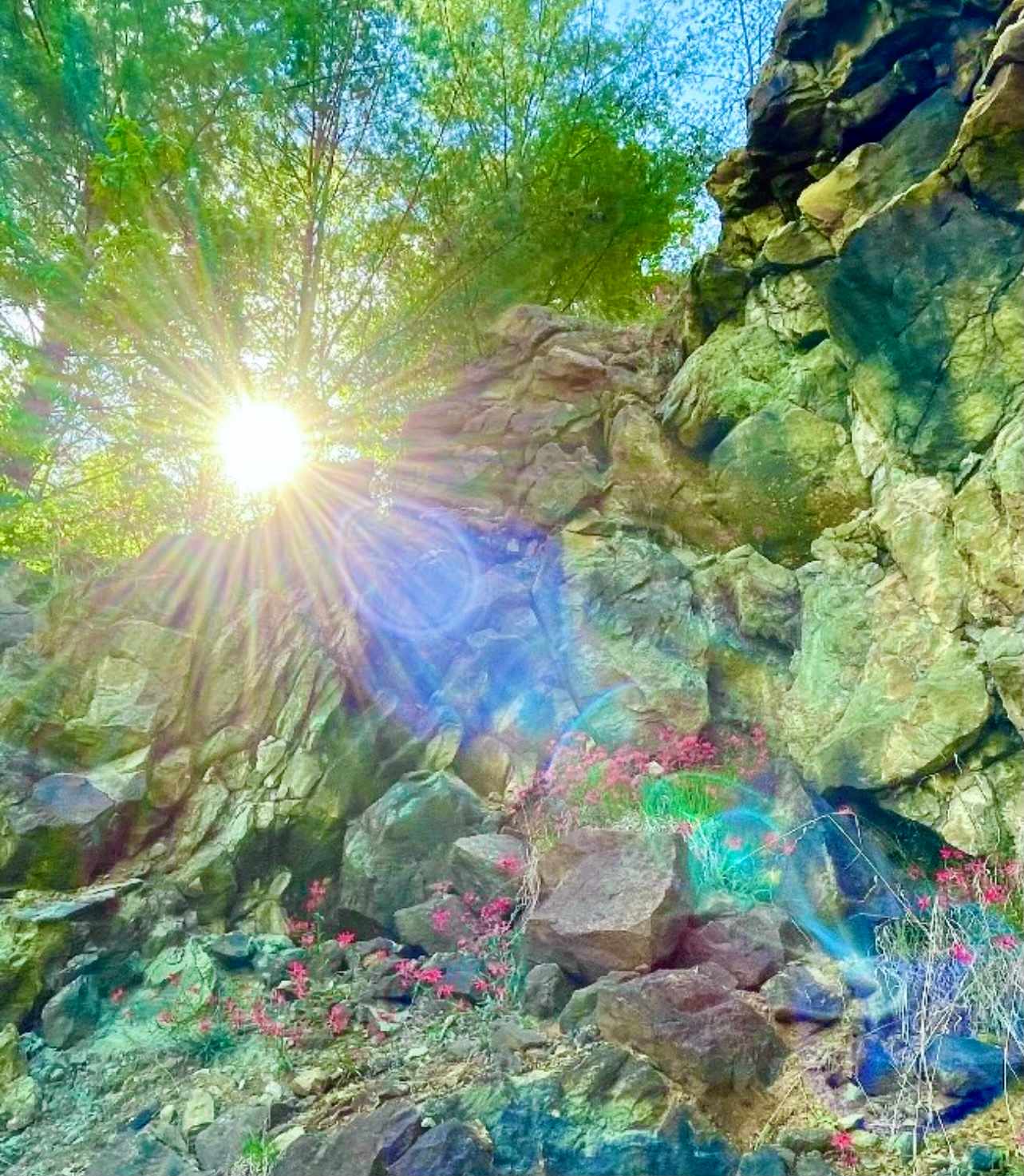 Blue Heart Sanctuary