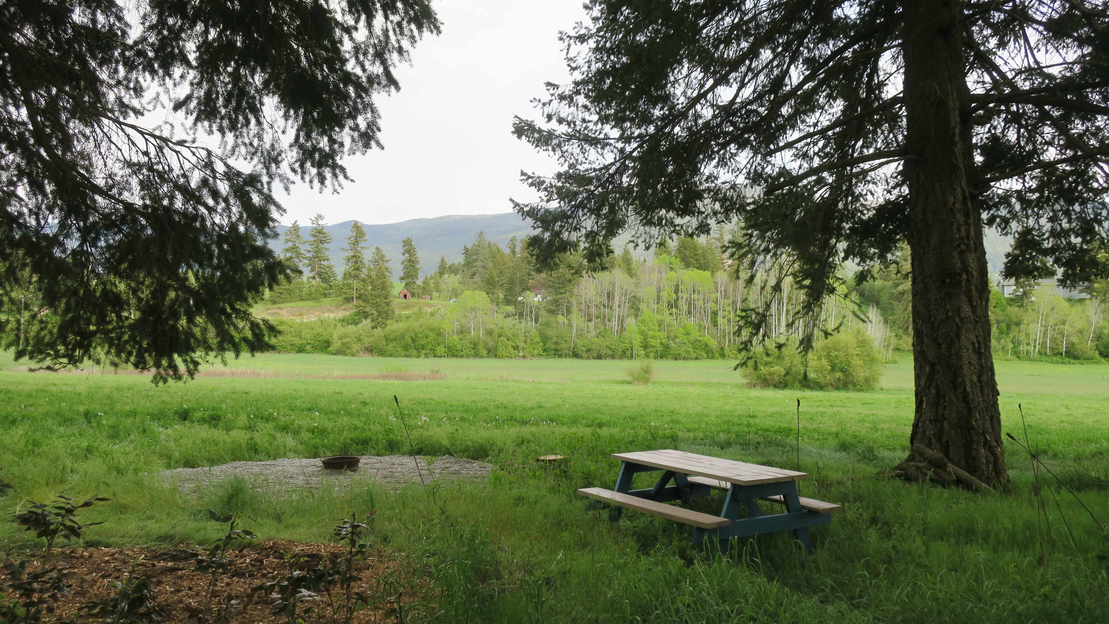Blue site (1)