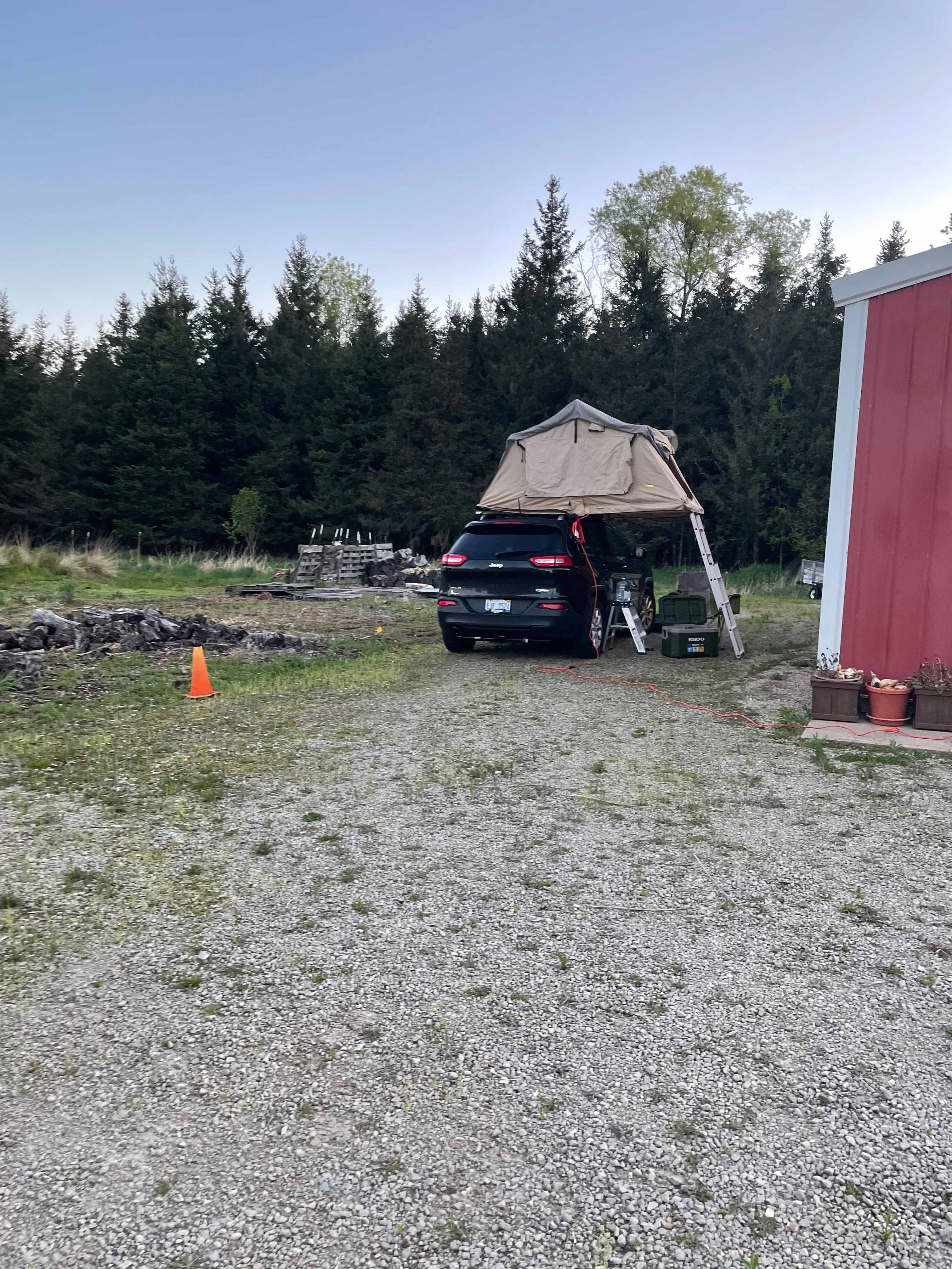 Picture of the site