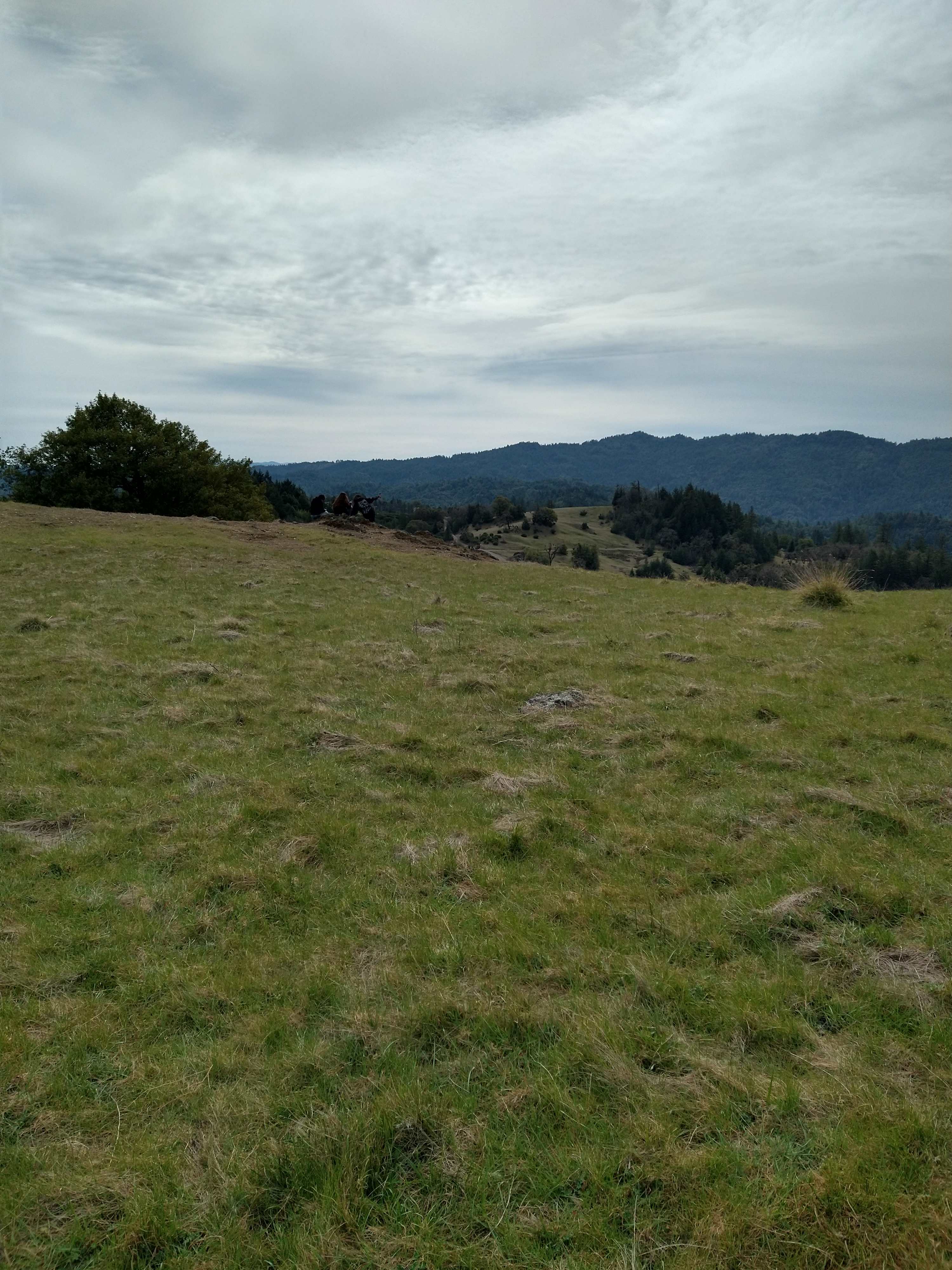 Red Wing Ranch