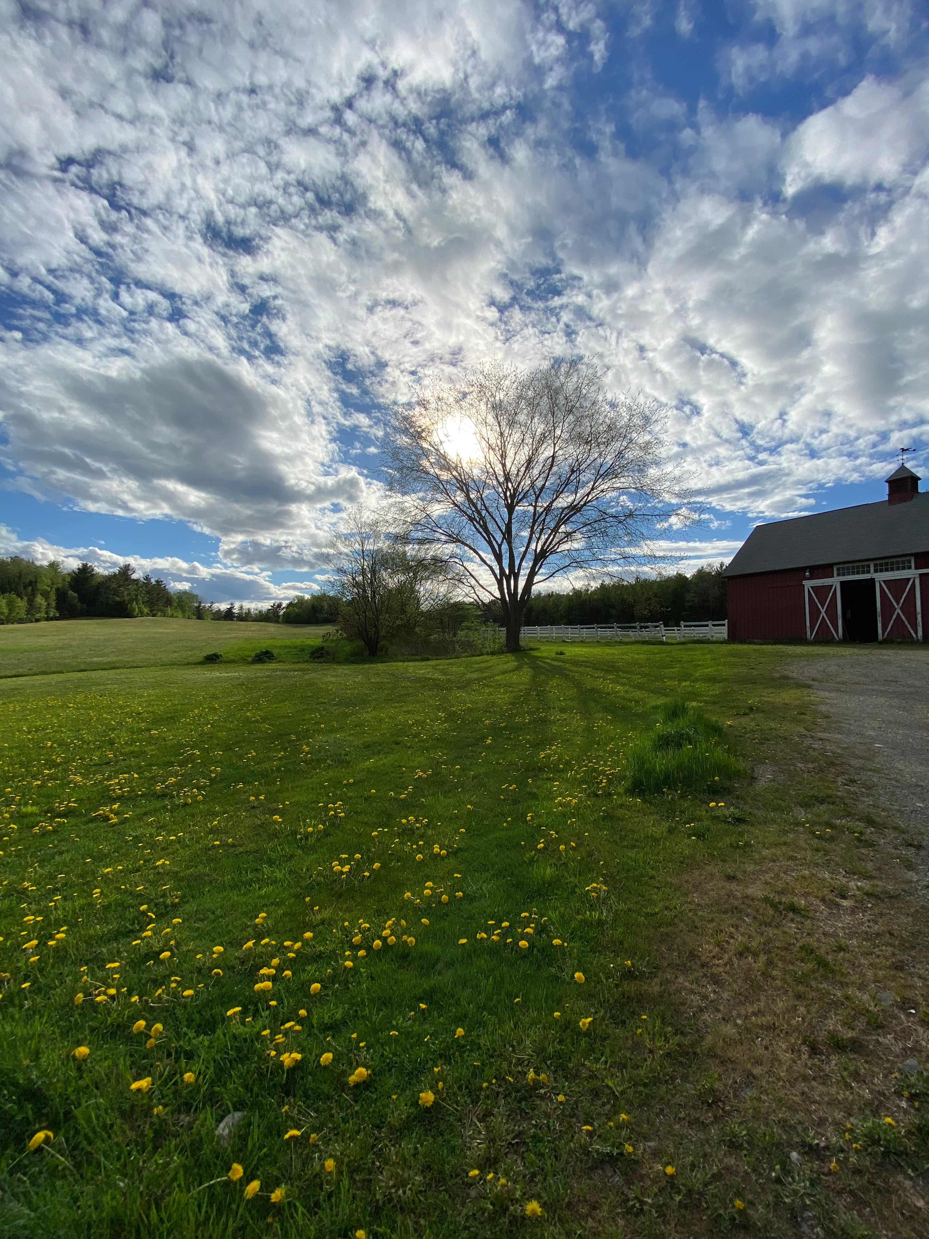 ShadowLands Ranch
