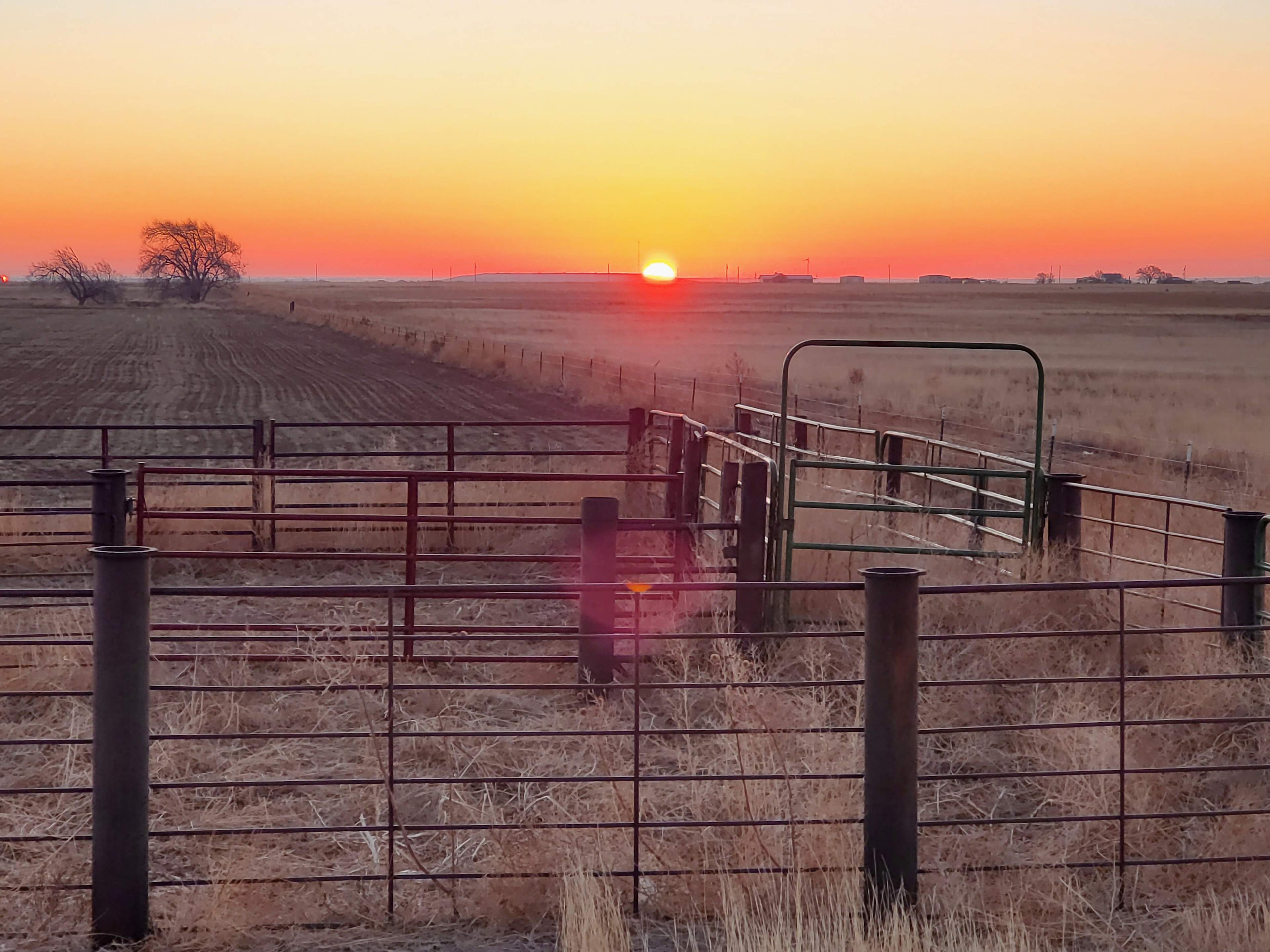 The Silos RV Park & Campground