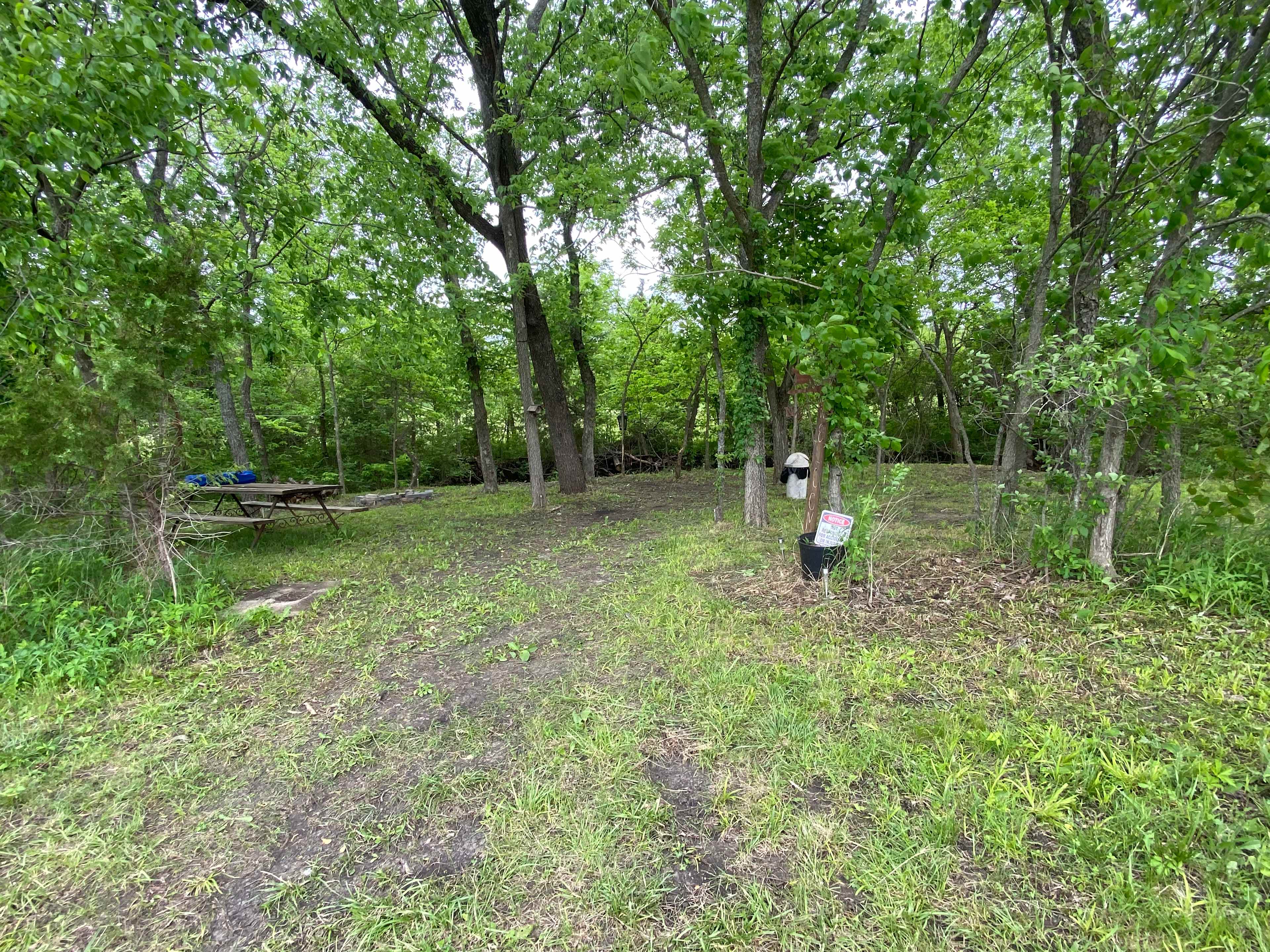 Picture of the site