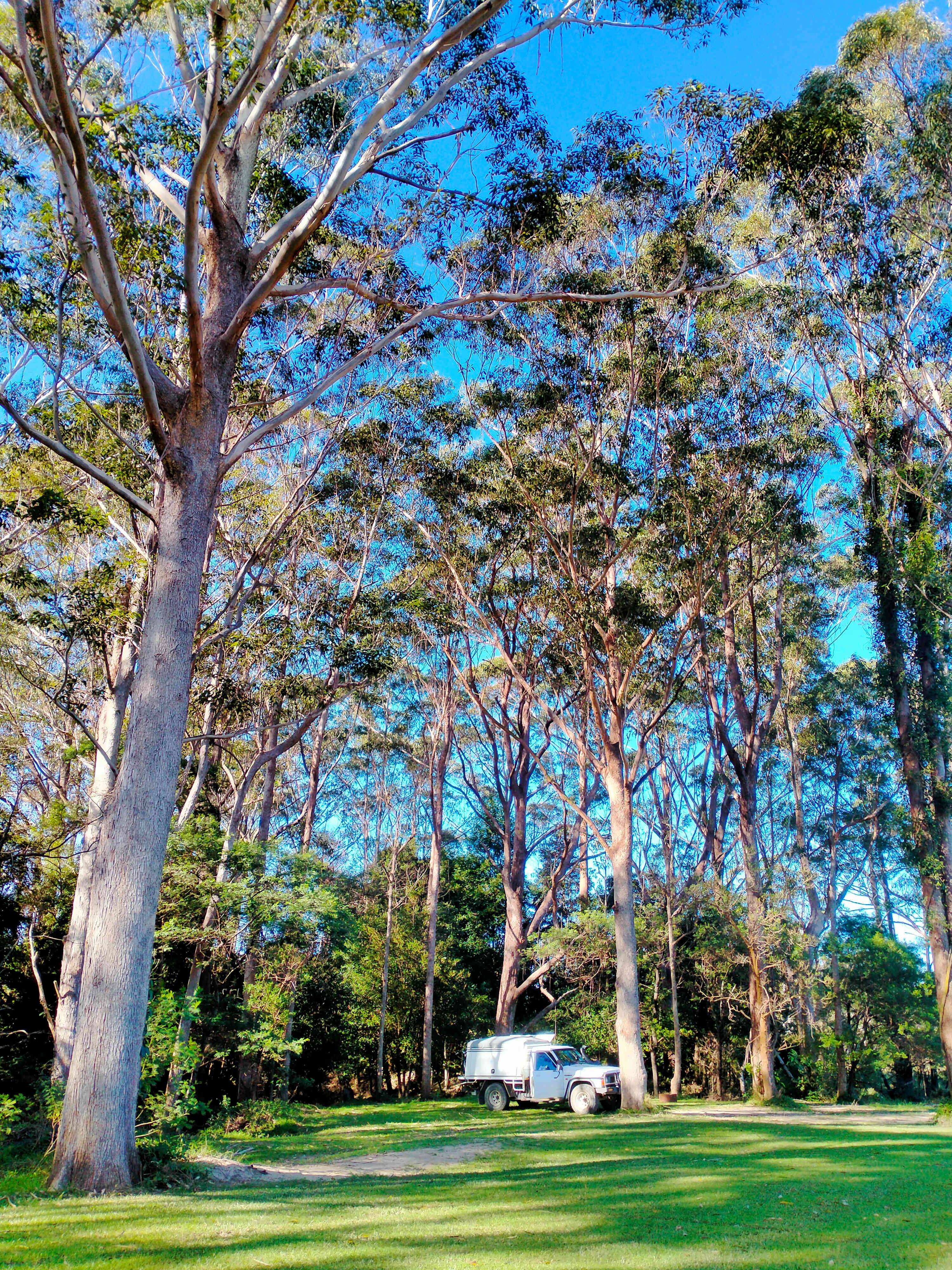 Where we camped