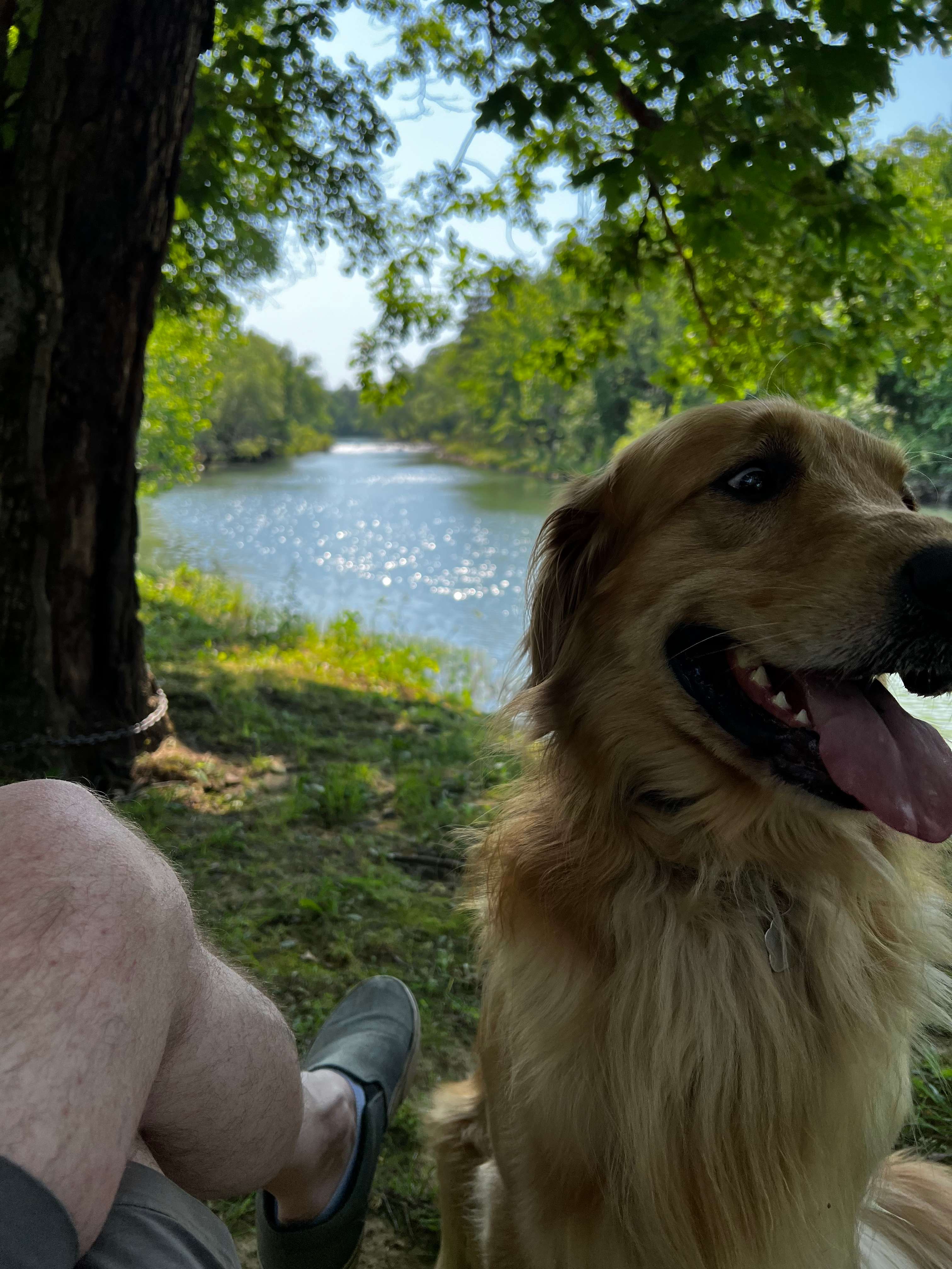 Yearling Ridge Riverfront Camp