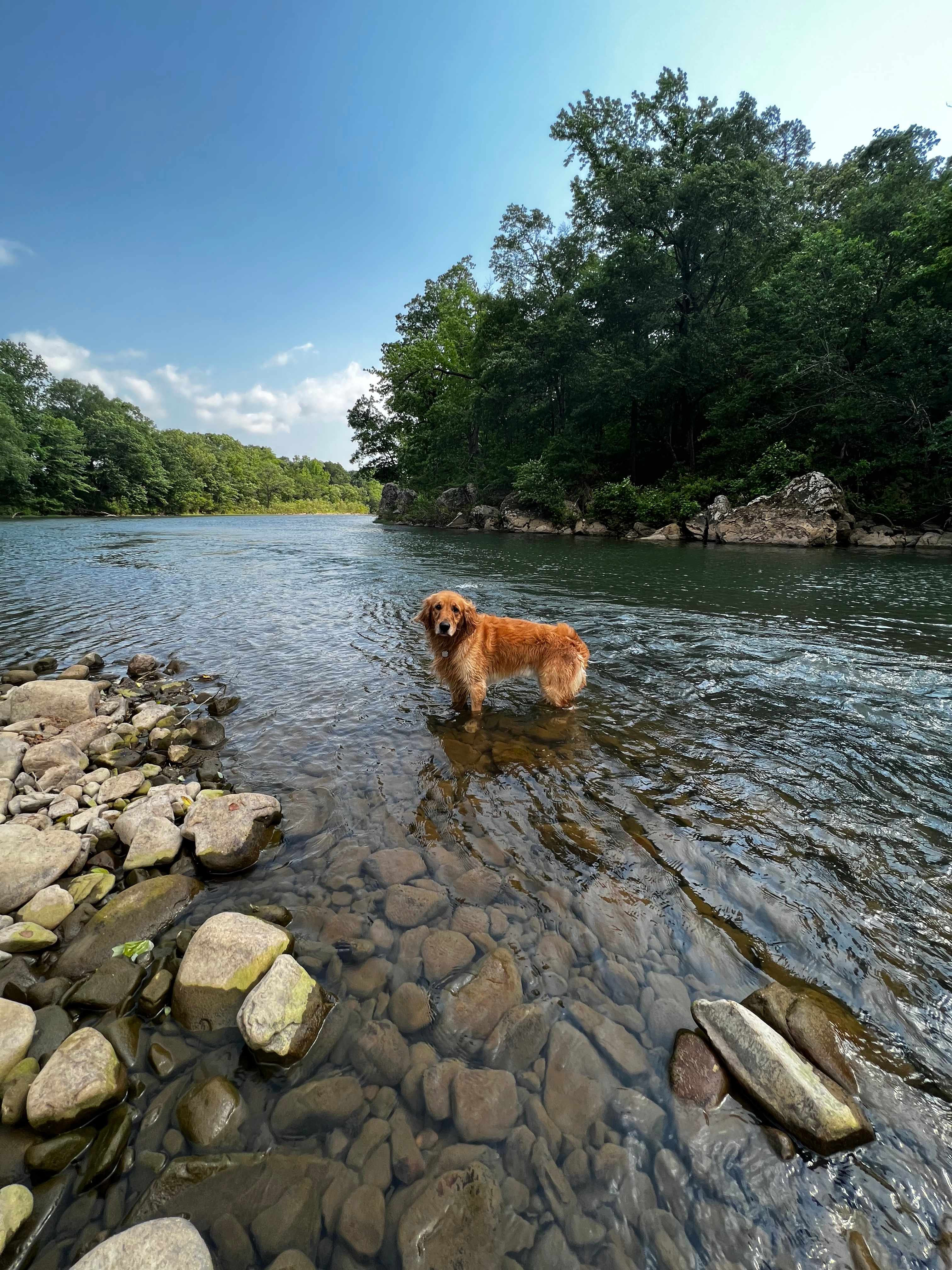 Yearling Ridge Riverfront Camp