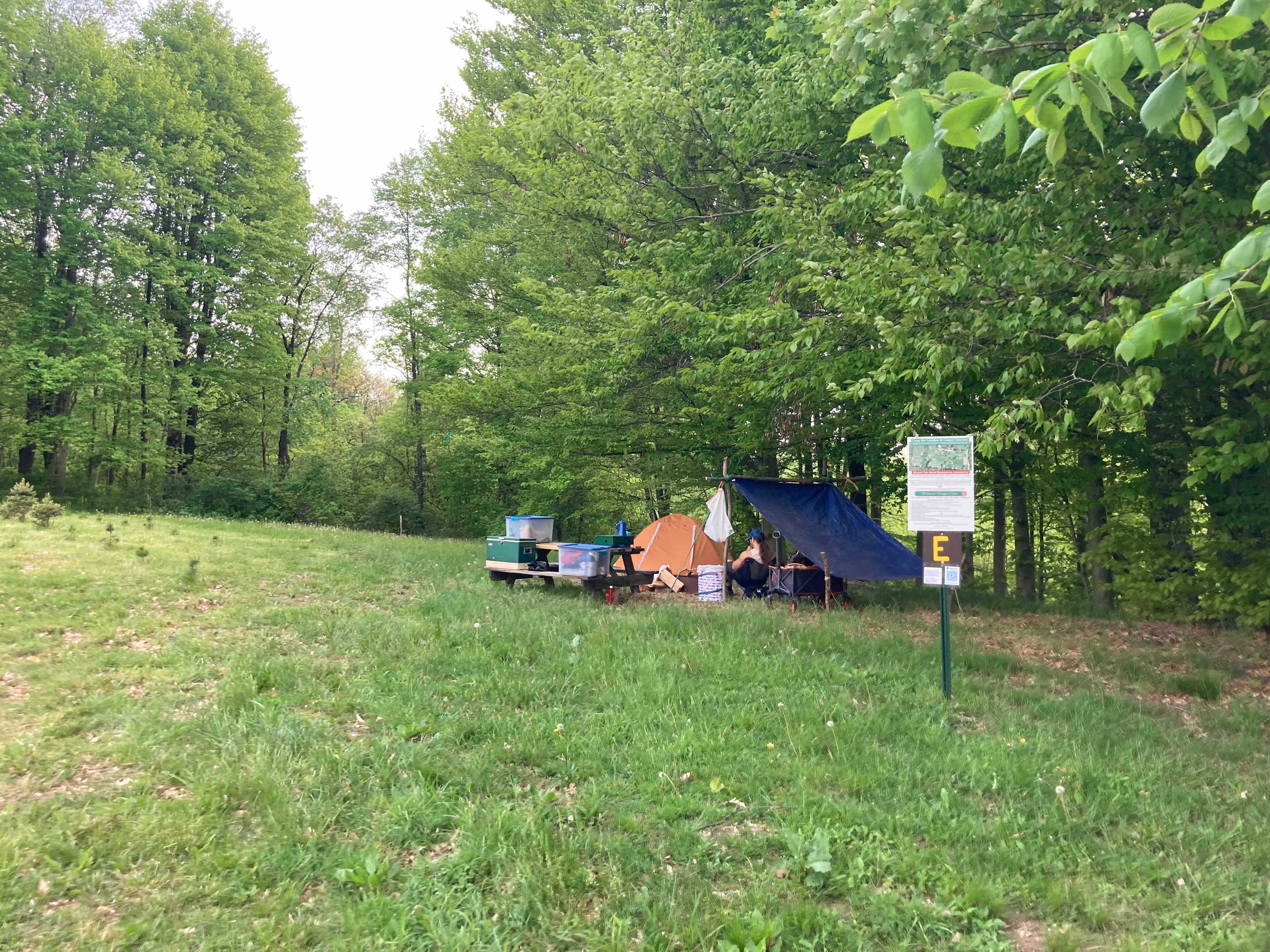Picture of the site